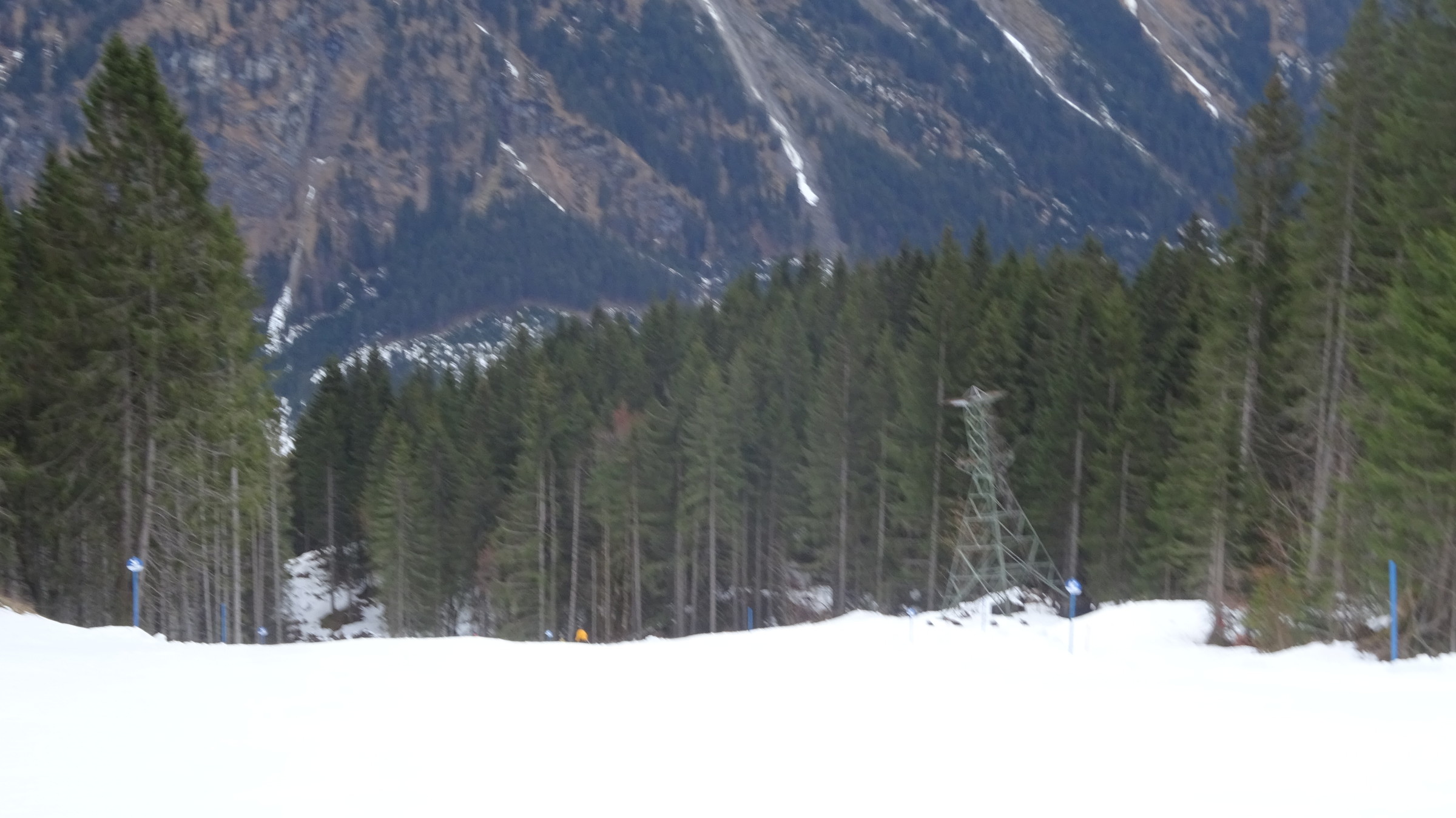 DSC07553.JPG