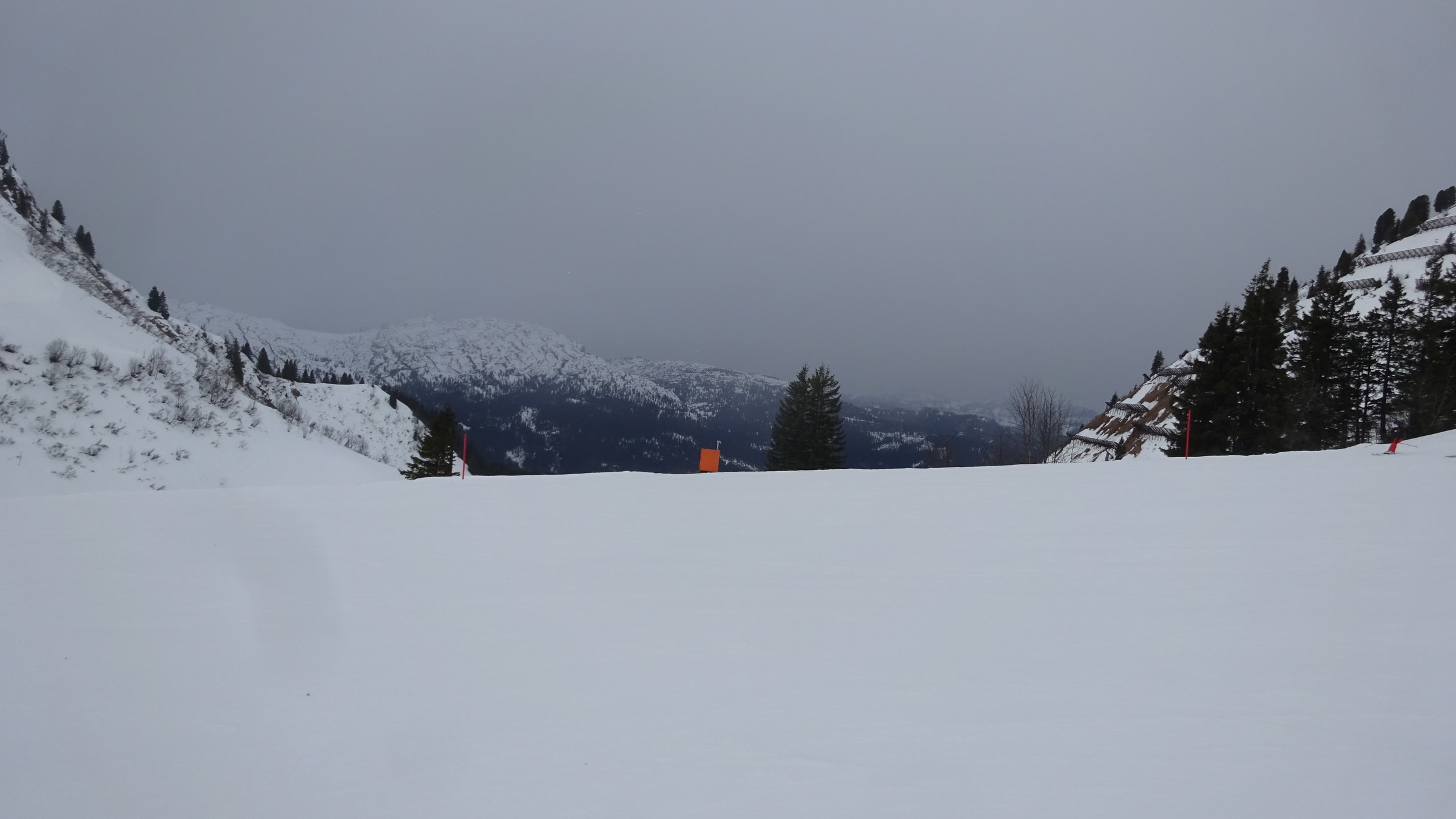 DSC07574.JPG