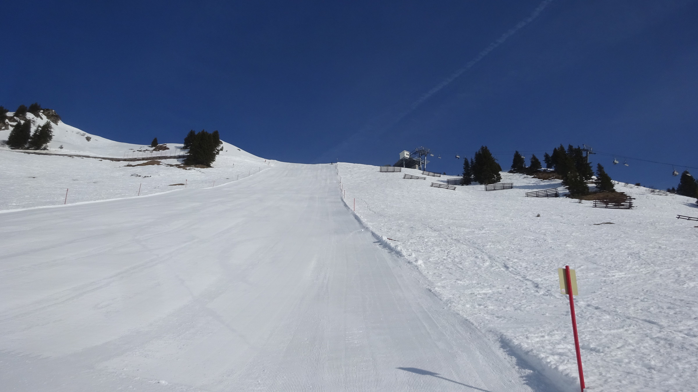 DSC08140.JPG