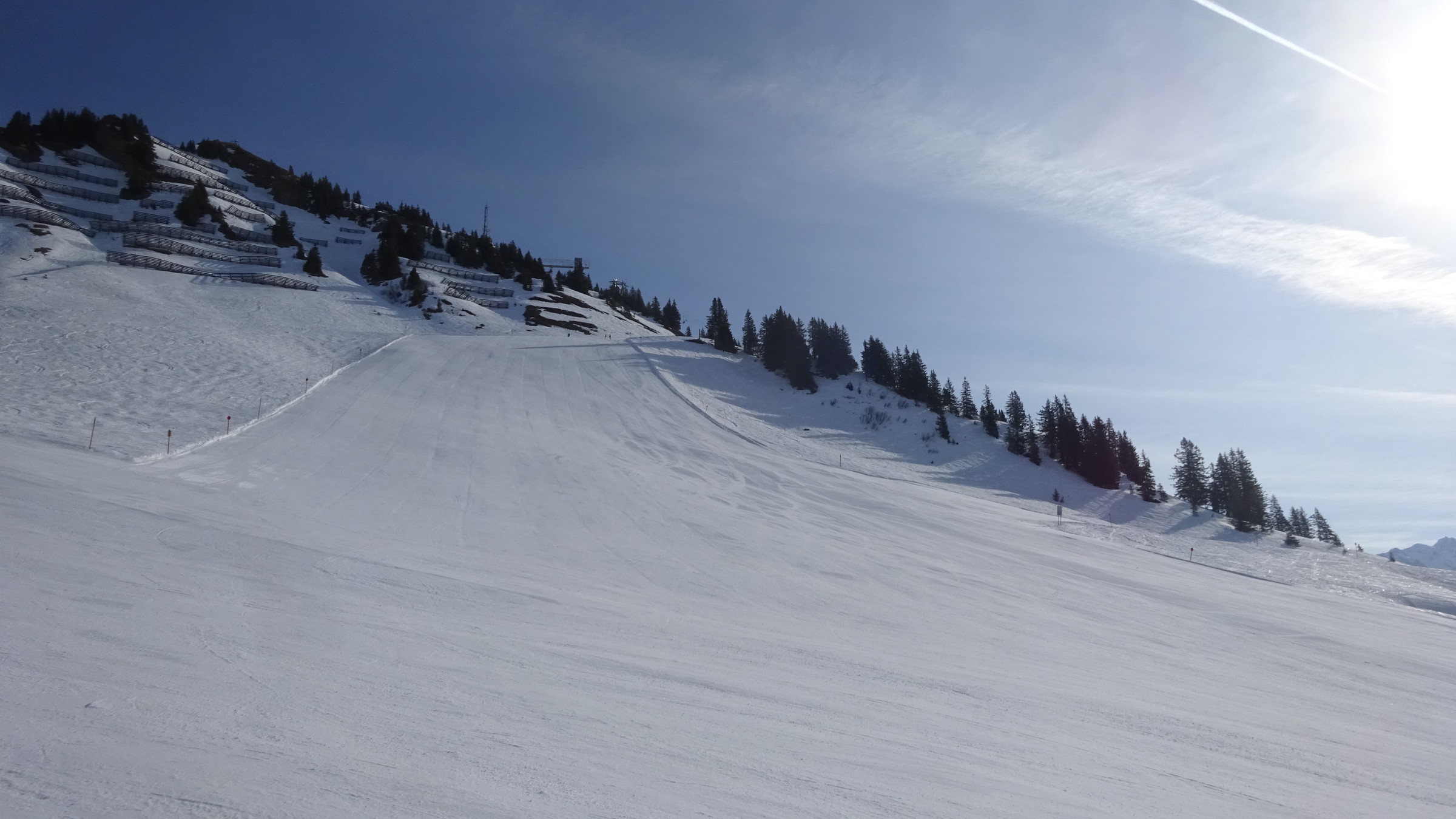 DSC08142.JPG