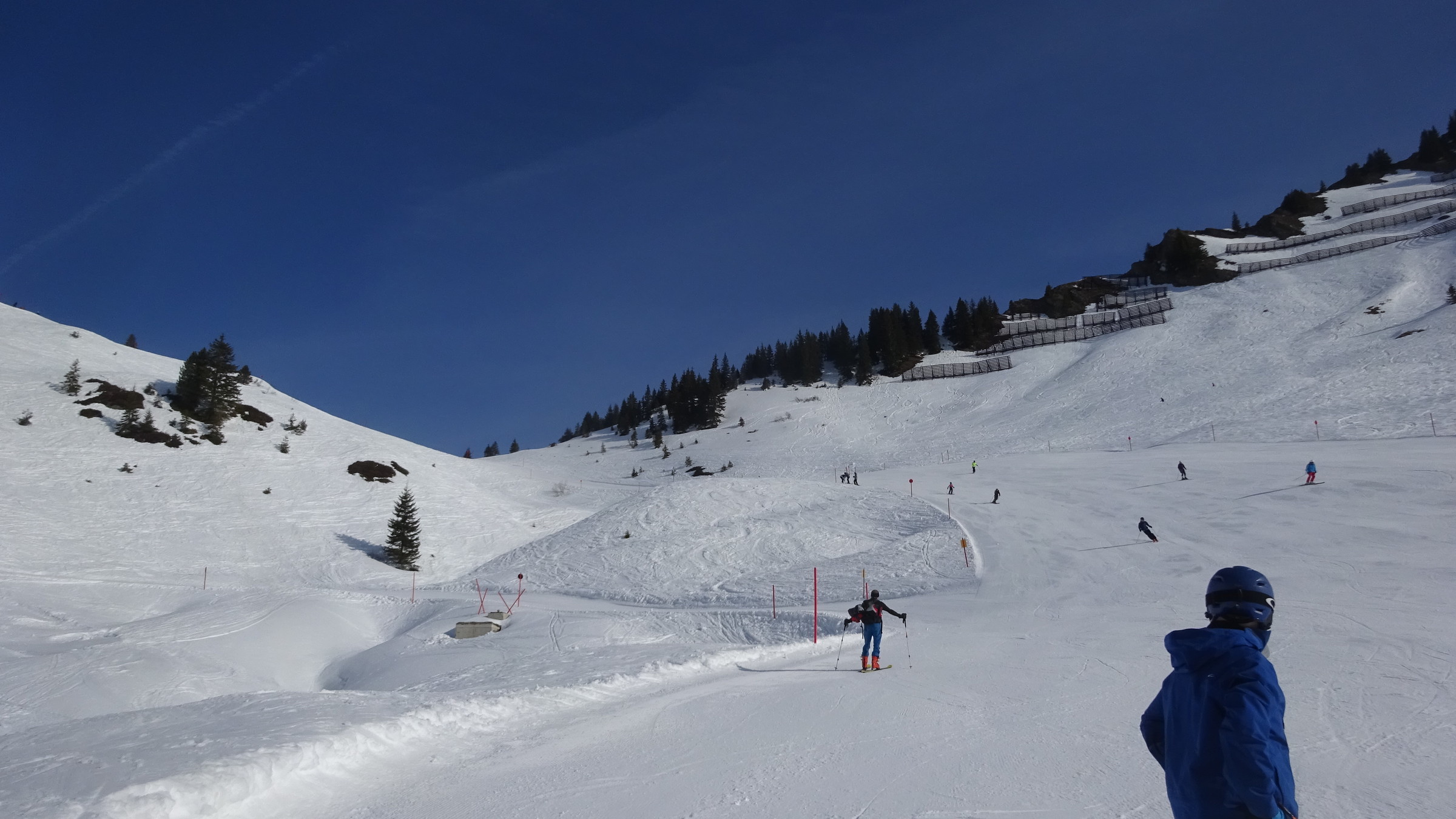 DSC08143.JPG