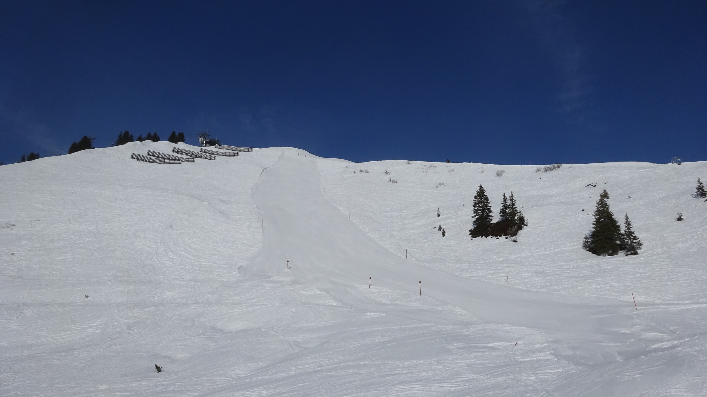 DSC08147.JPG