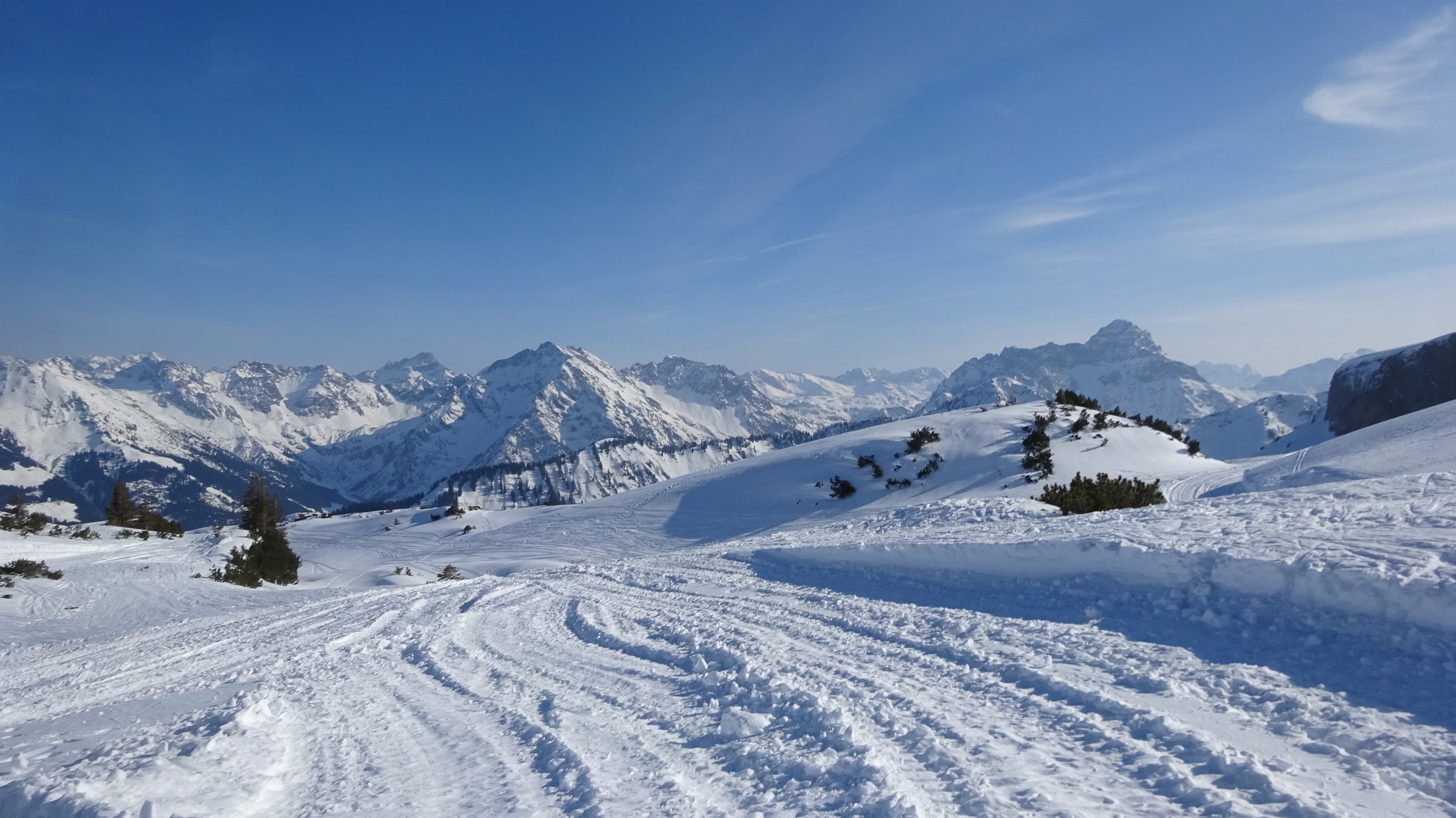 DSC08215.JPG