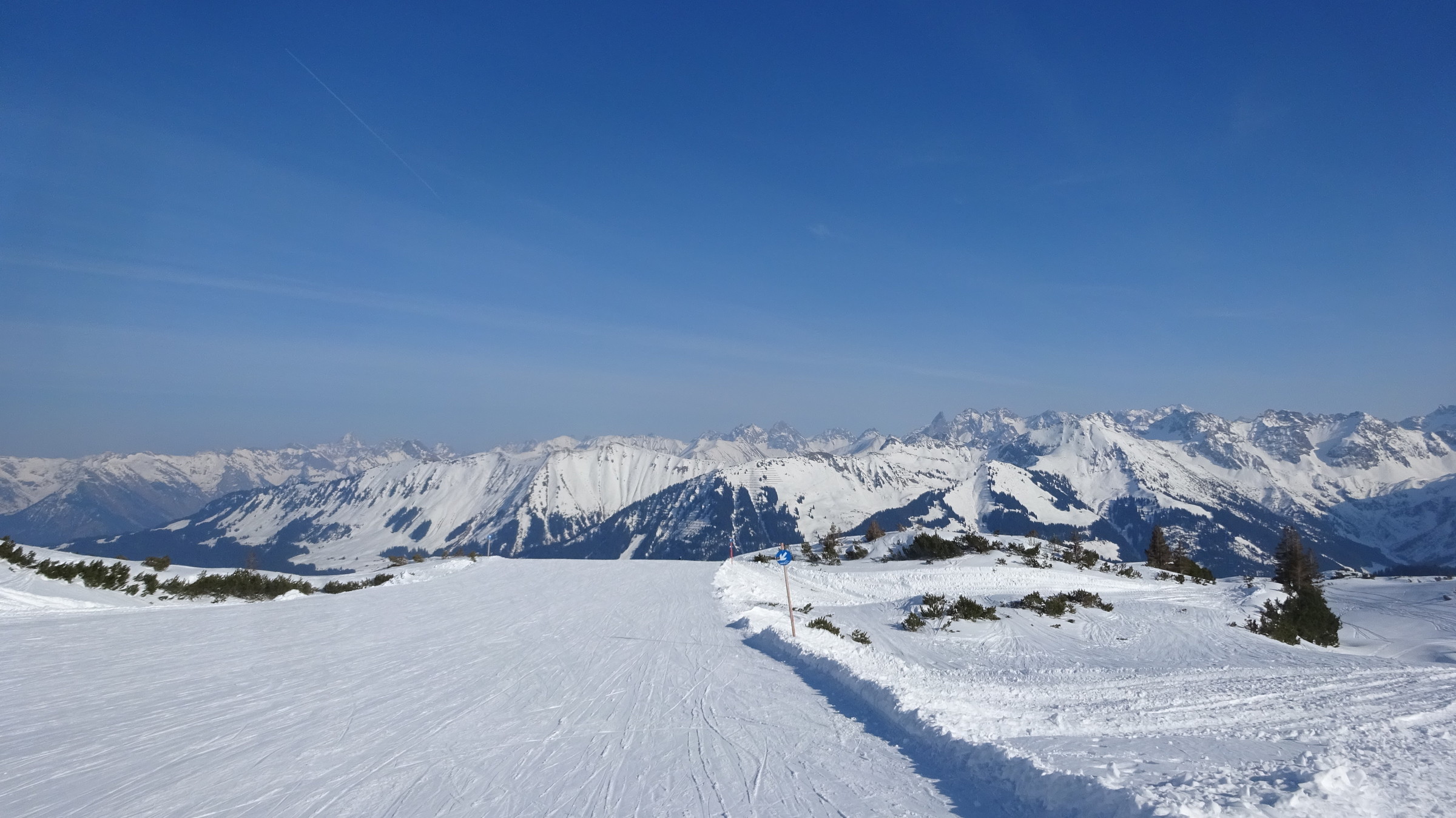 DSC08216.JPG