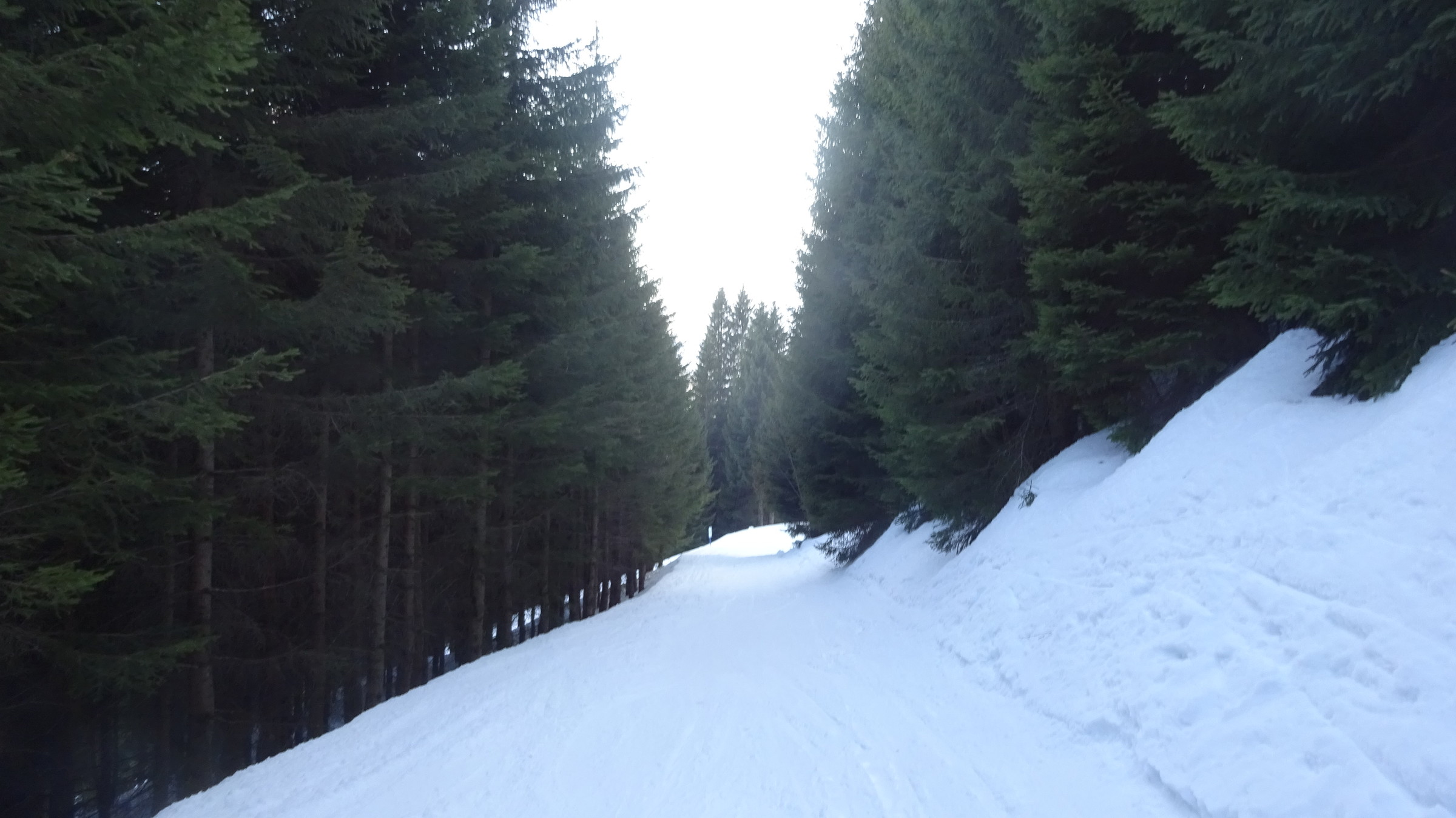 DSC08224.JPG