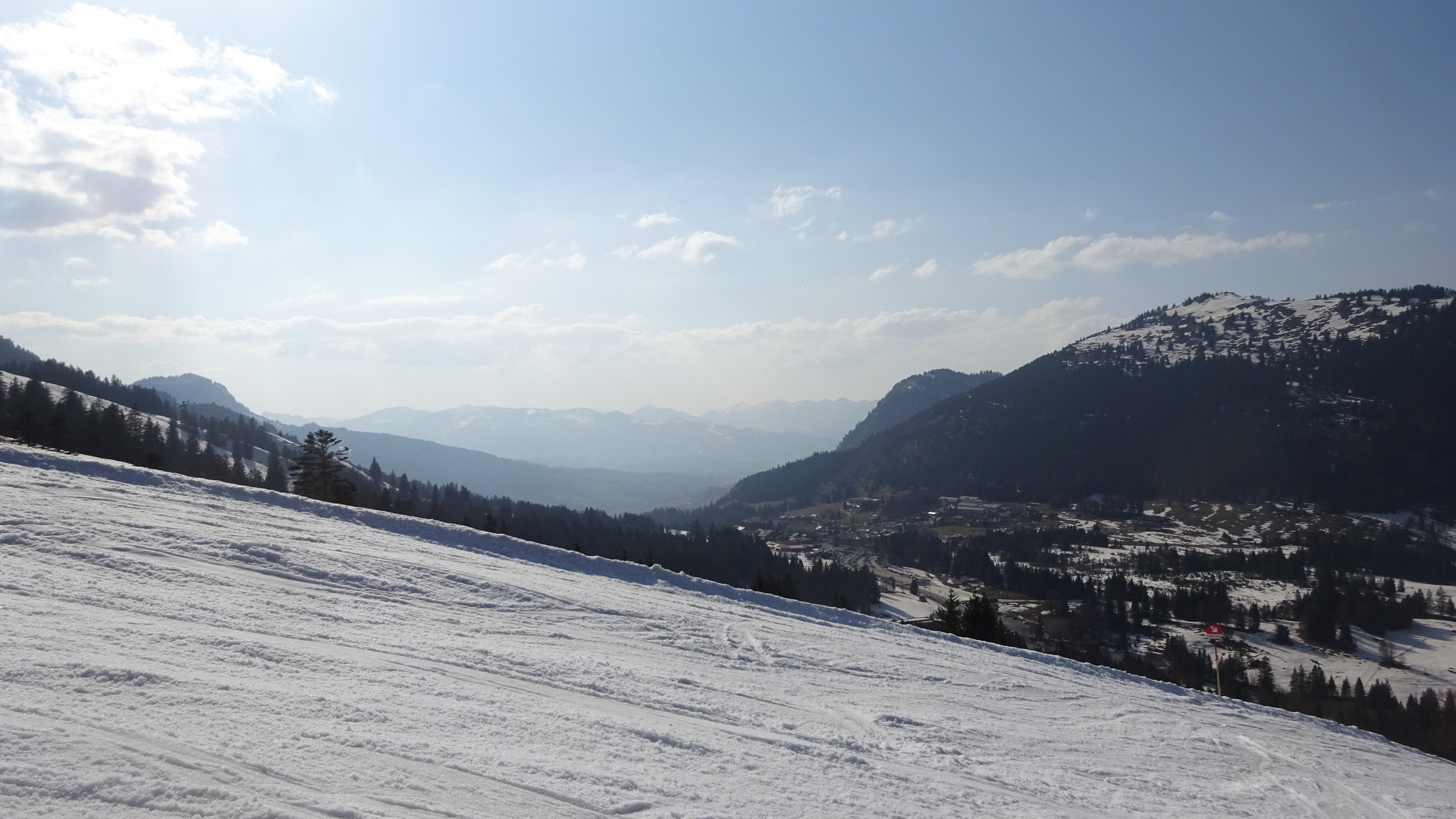 DSC08337.JPG