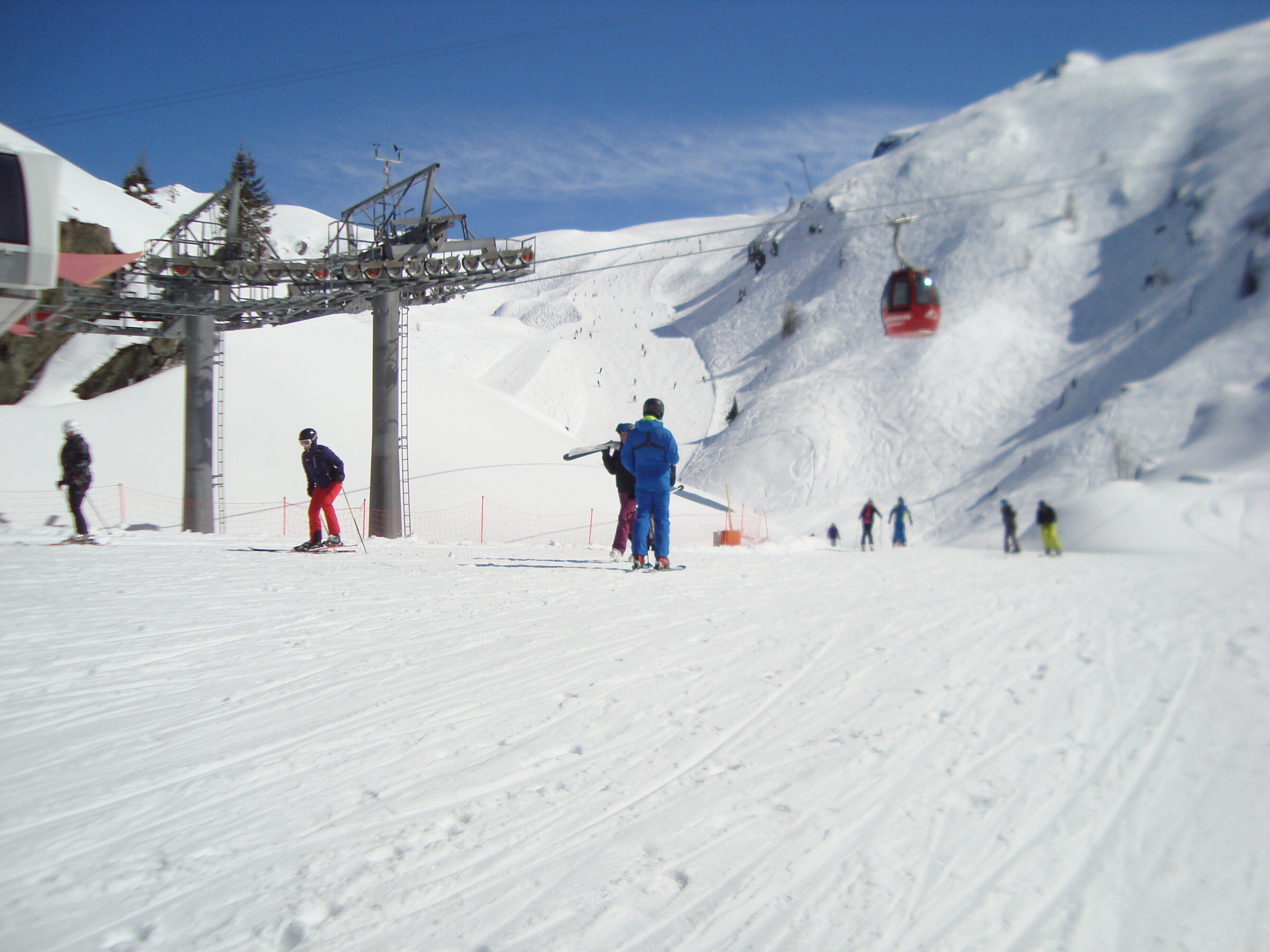 DSC08388.JPG