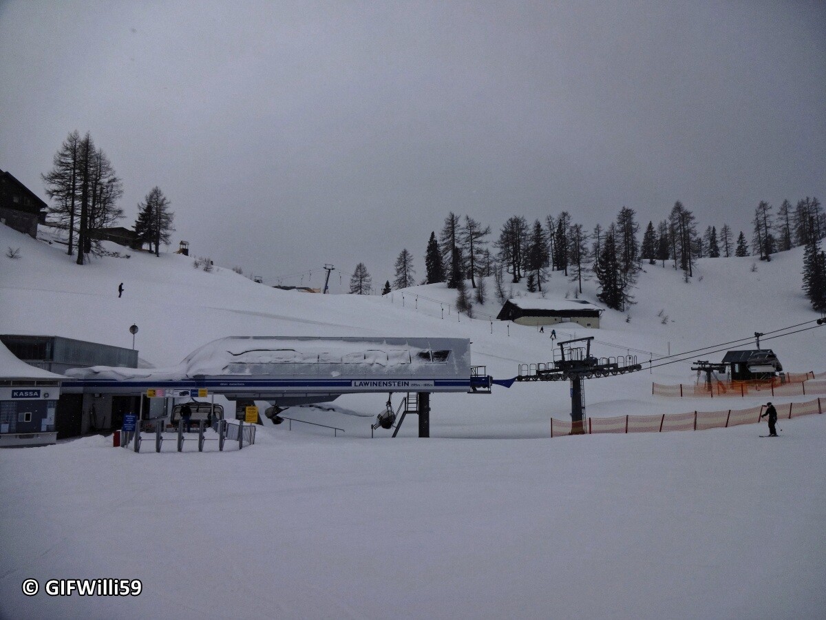 DSC09185_DxO.jpg