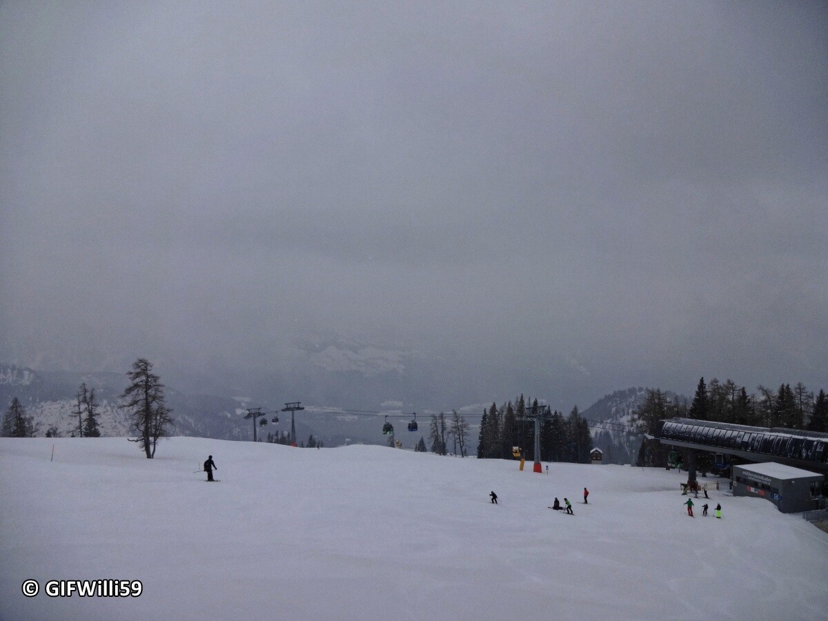 DSC09193_DxO.jpg