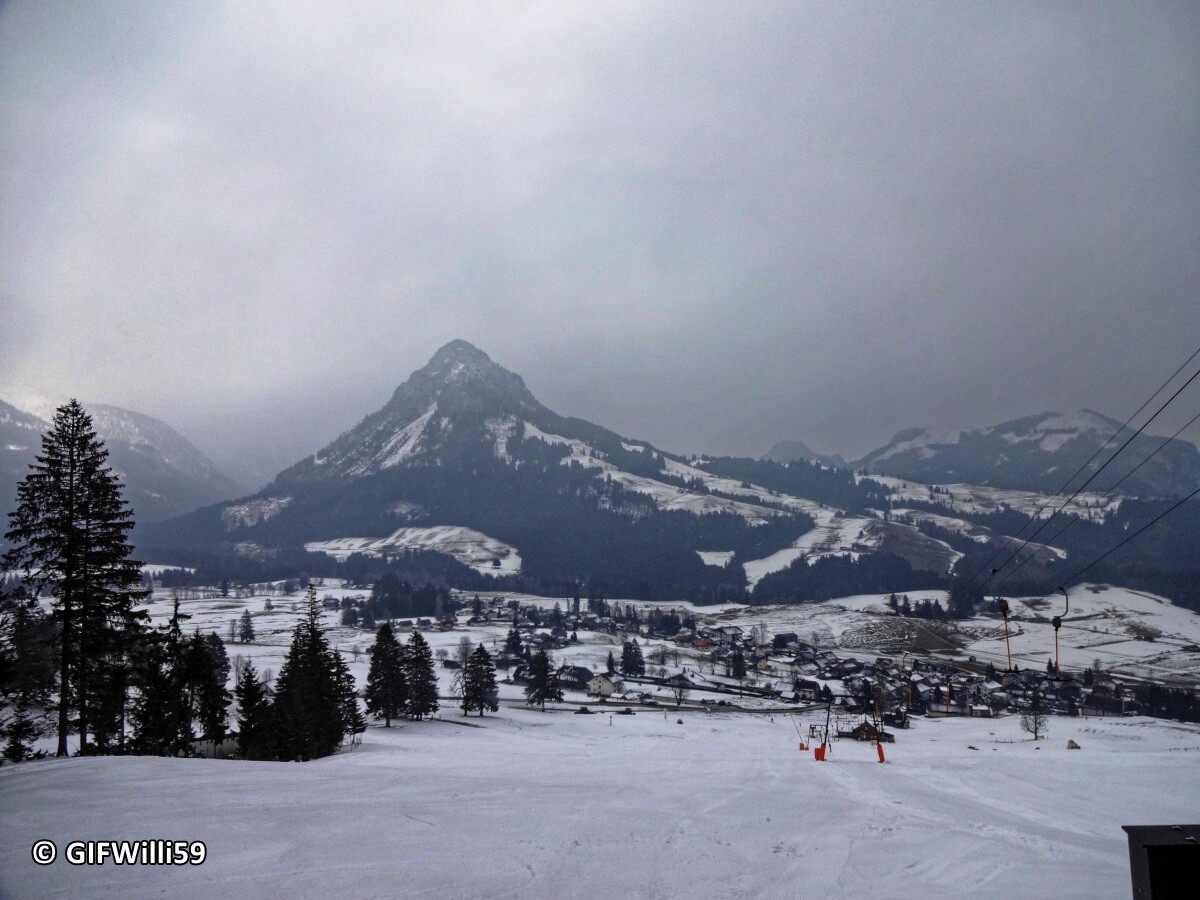 DSC09208_DxO.jpg