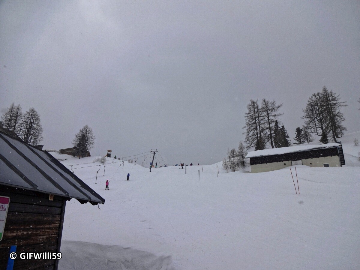 DSC09239_DxO.jpg