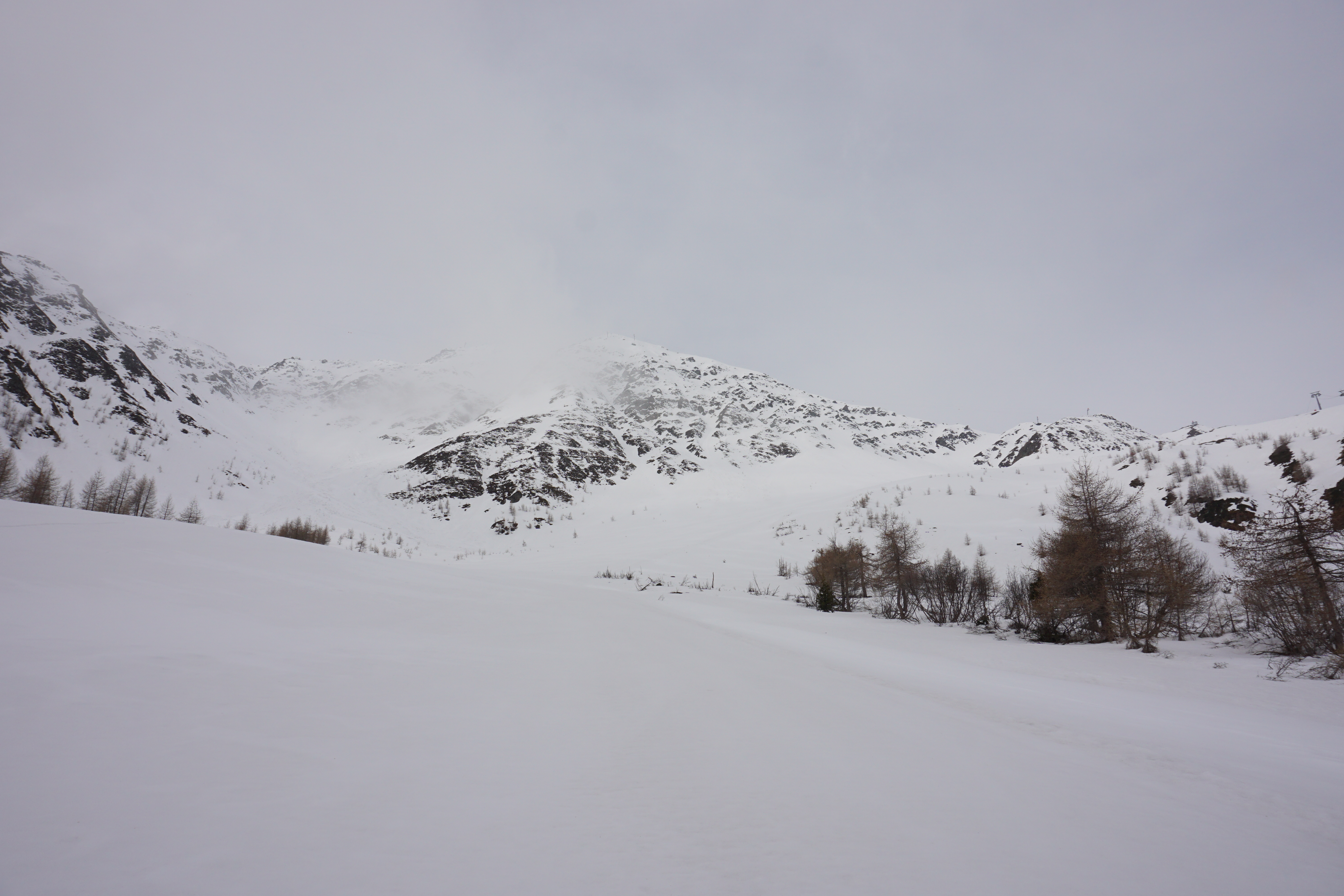DSC09951.JPG