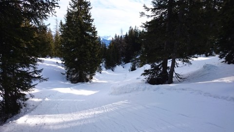 DSC_0016.jpg