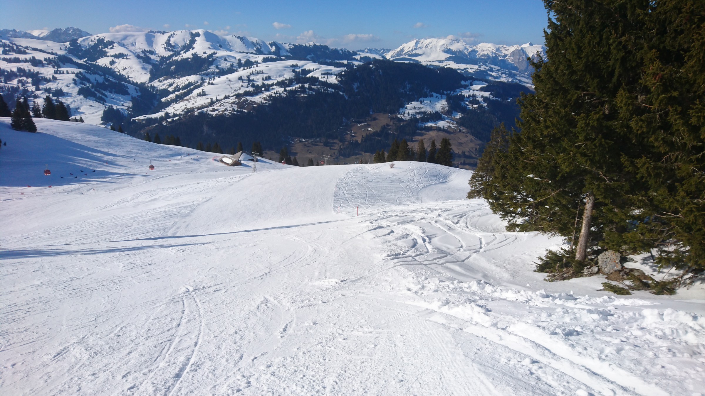 DSC_0016.JPG