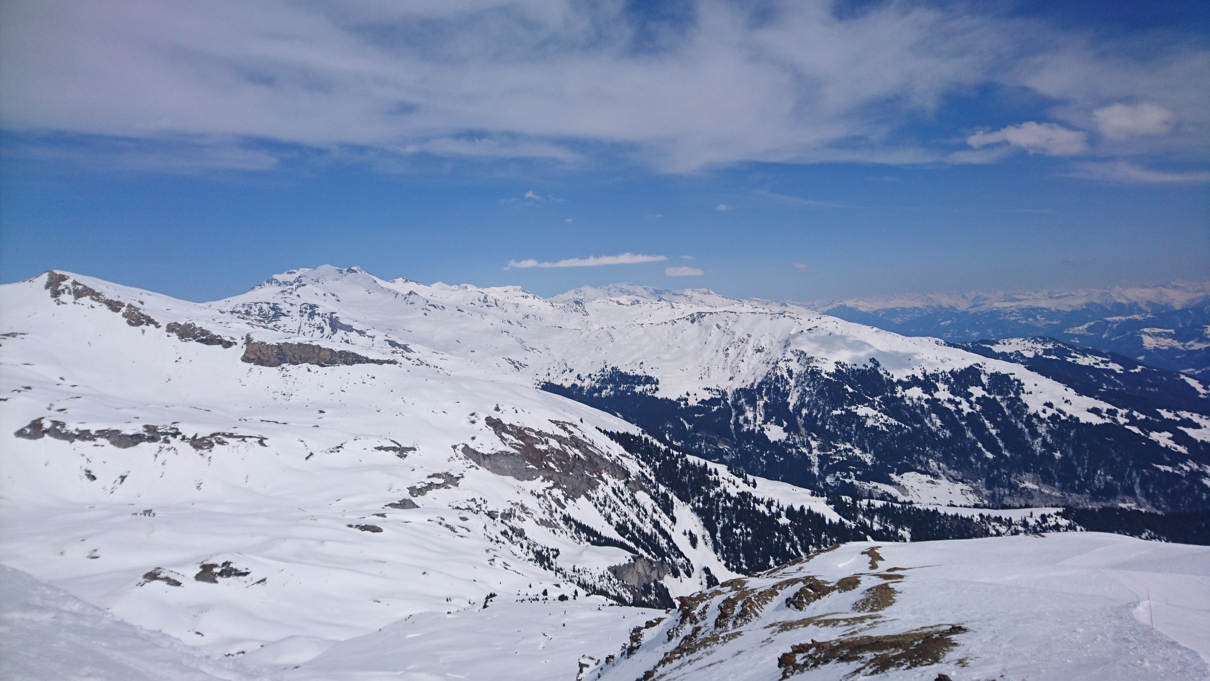 DSC_0101.JPG