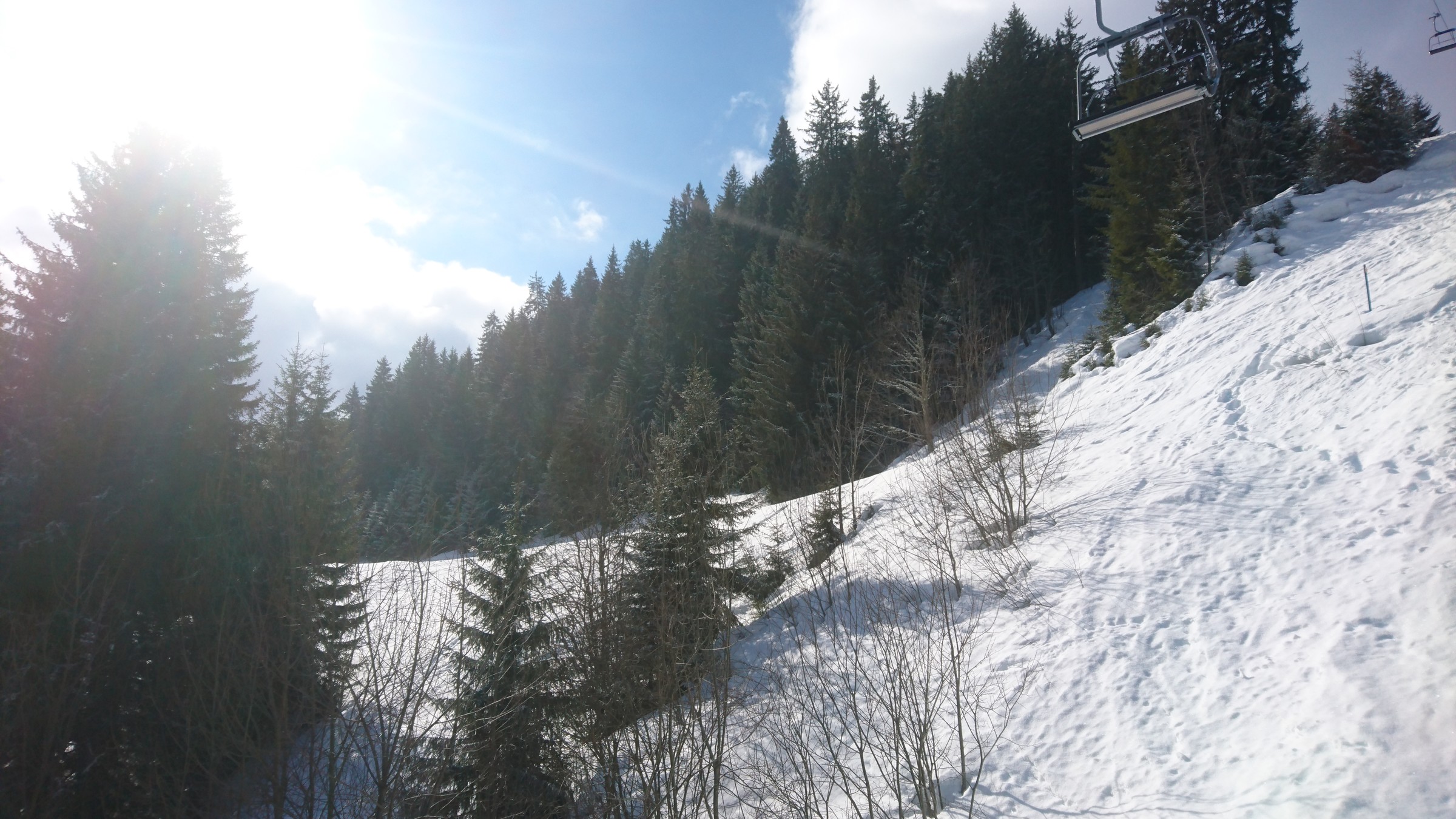 DSC_0102.JPG