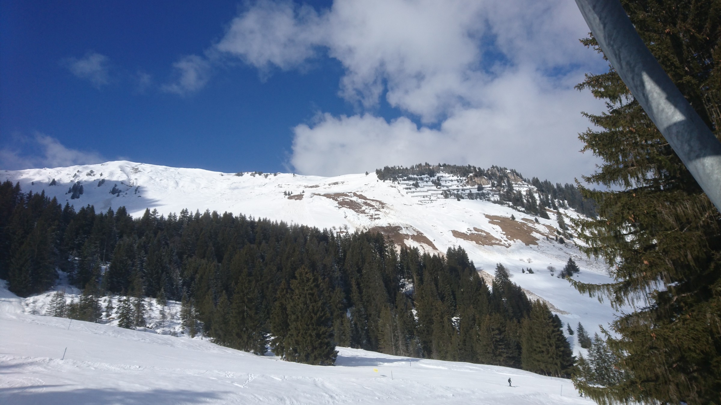 DSC_0103.JPG
