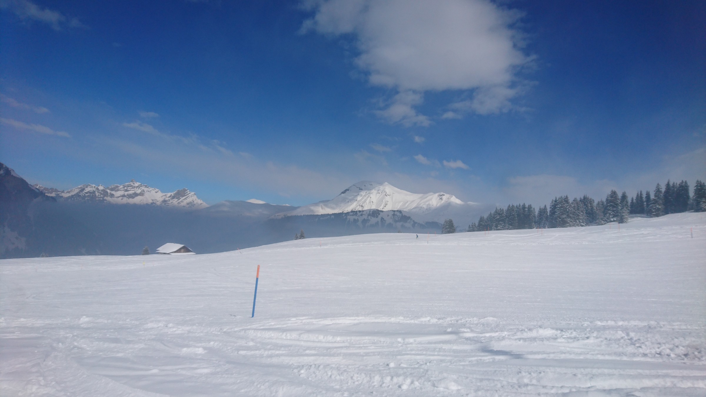 DSC_0124.JPG