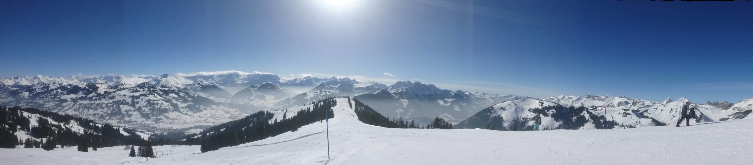 DSC_0130.JPG