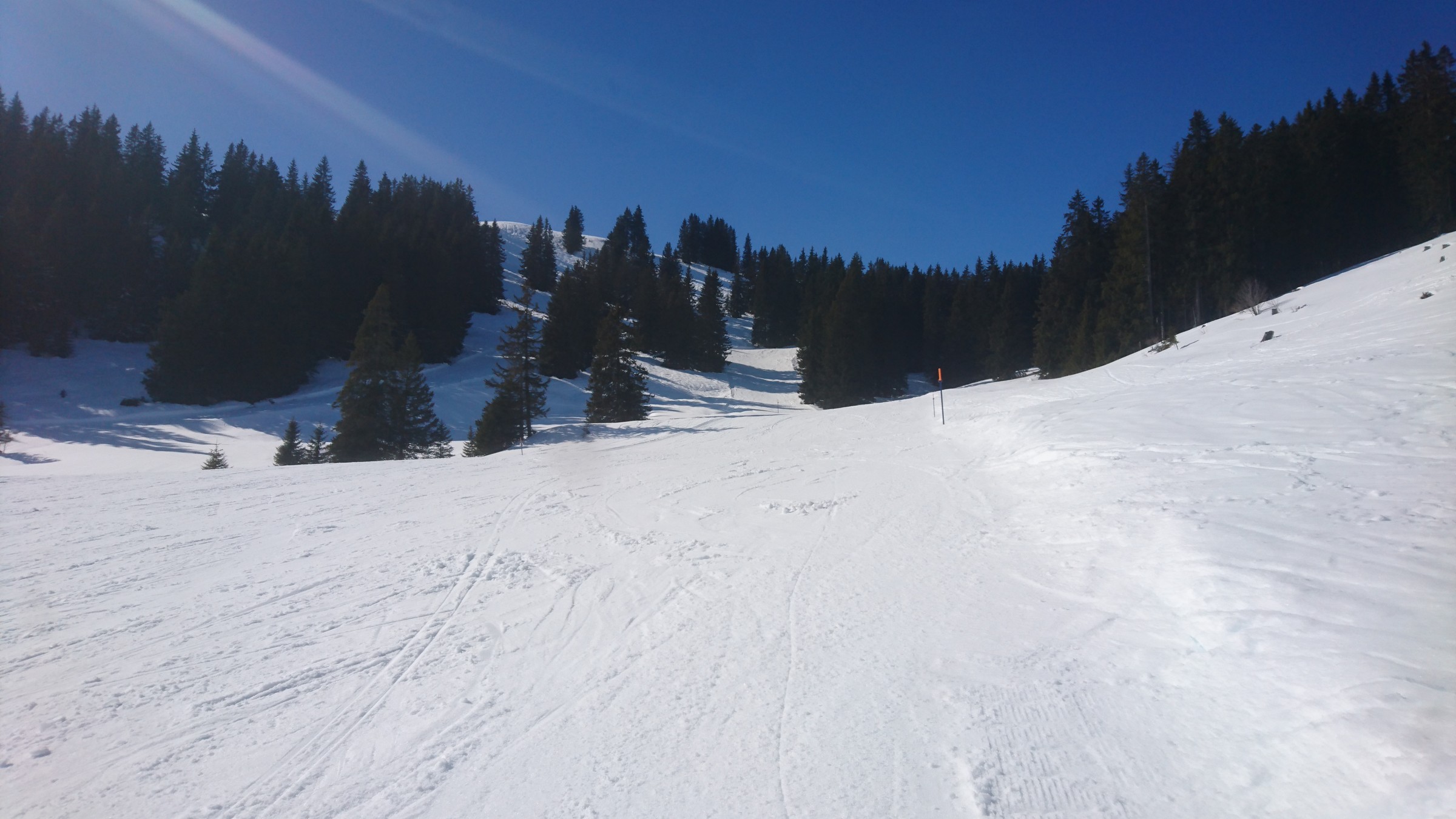 DSC_0134.JPG