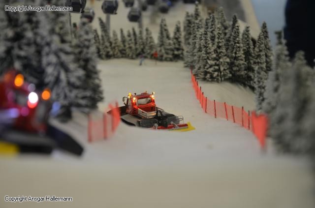 DSC_0141.jpg