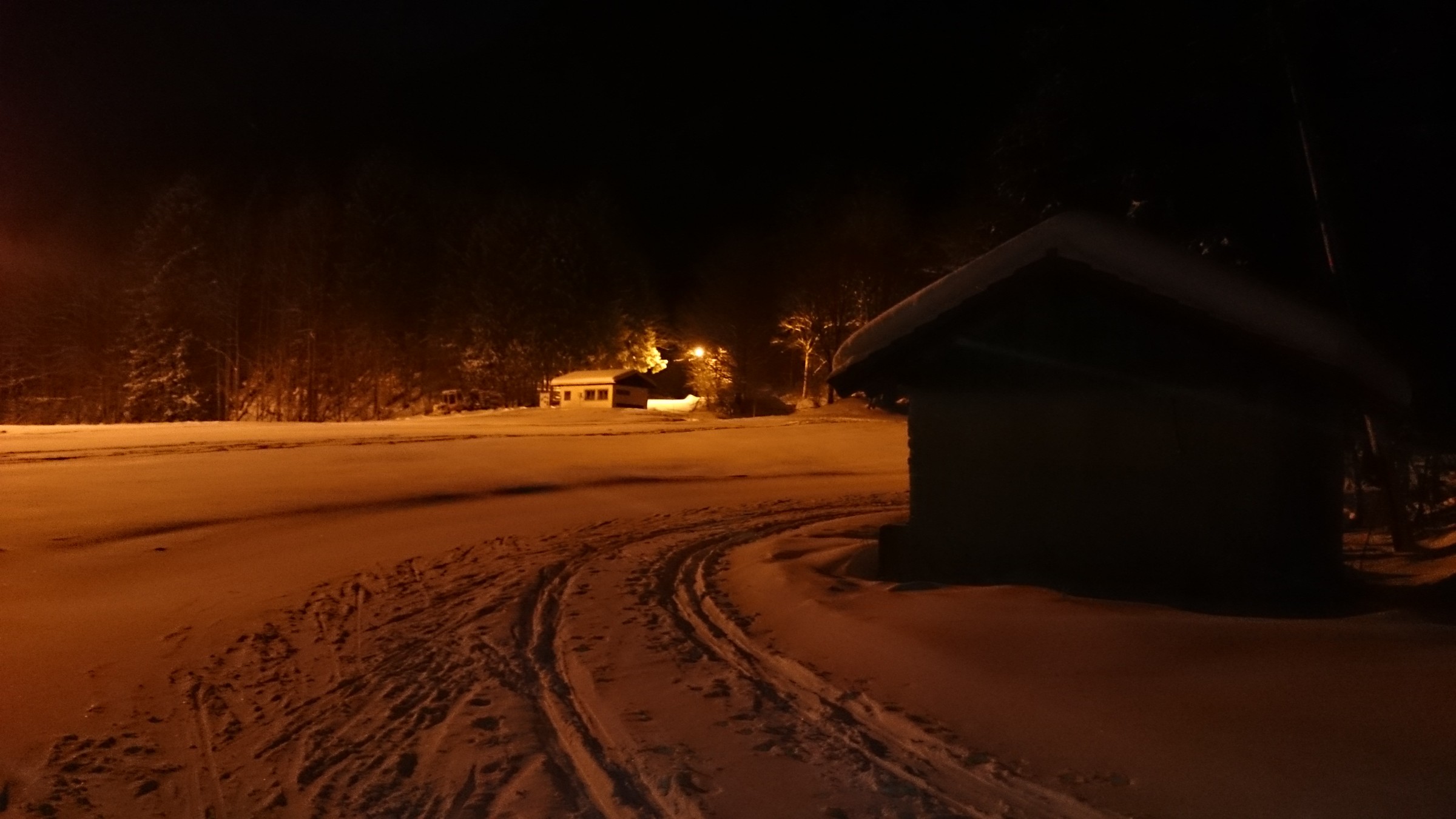DSC_0321.JPG