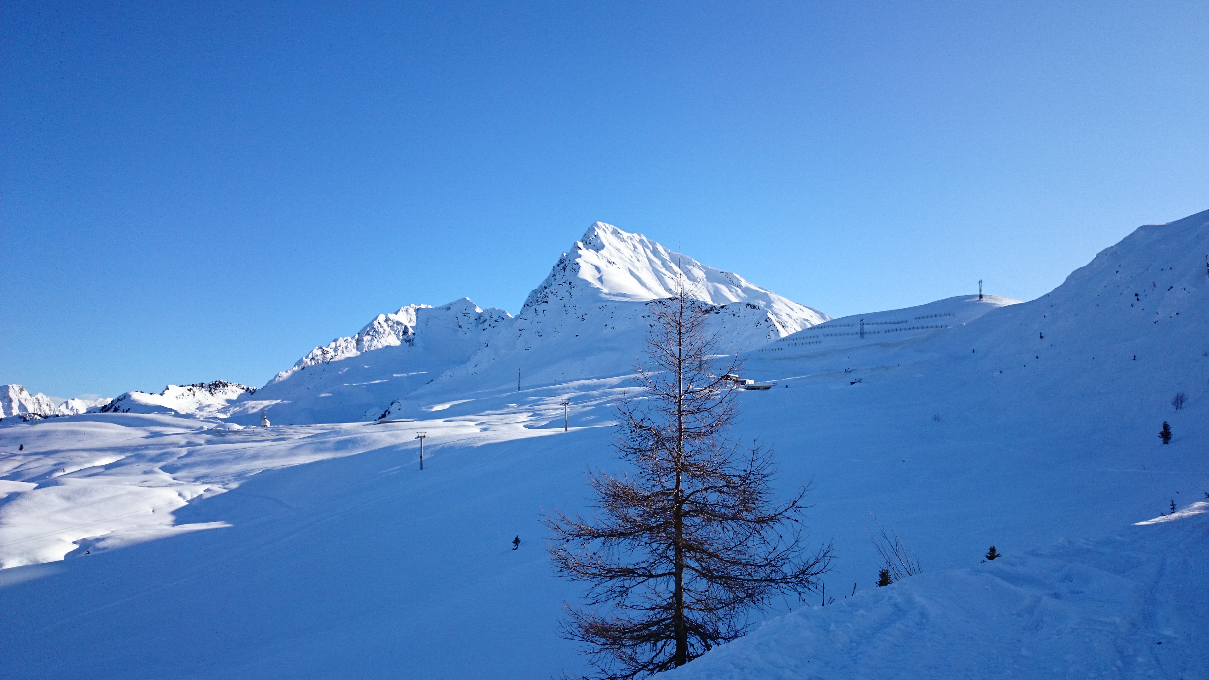 DSC_0674.JPG