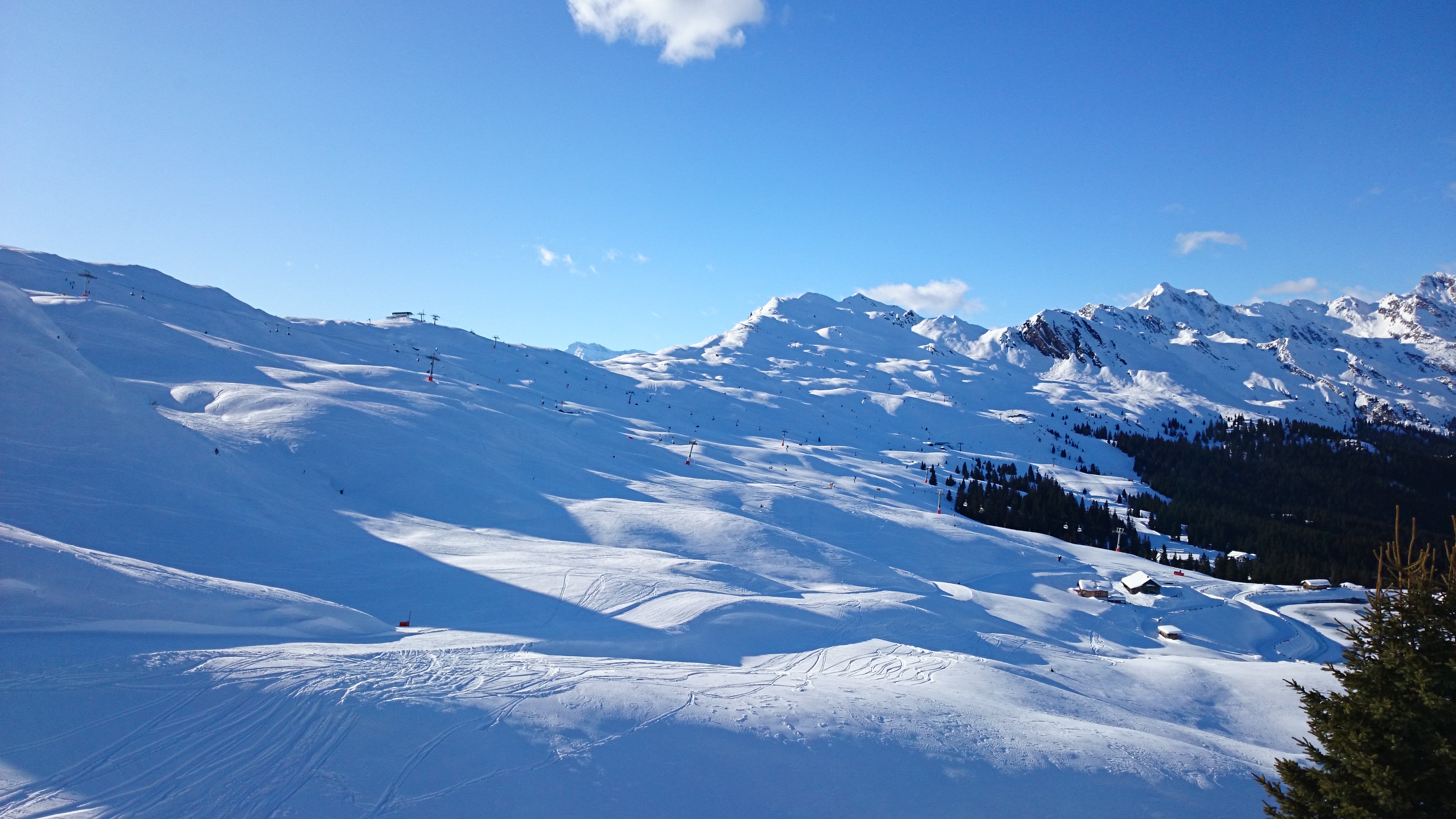 DSC_0675.JPG