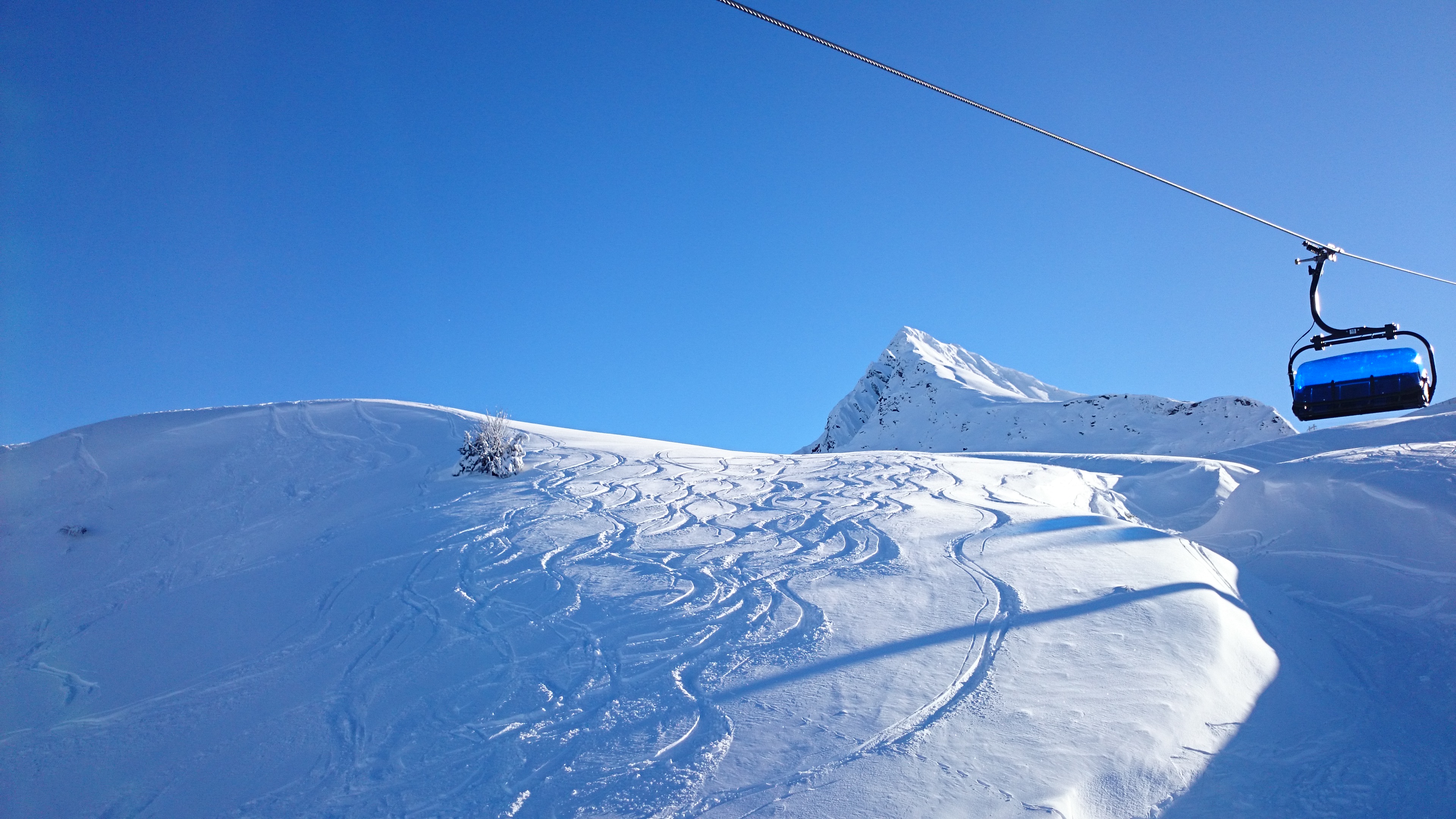 DSC_0720.JPG