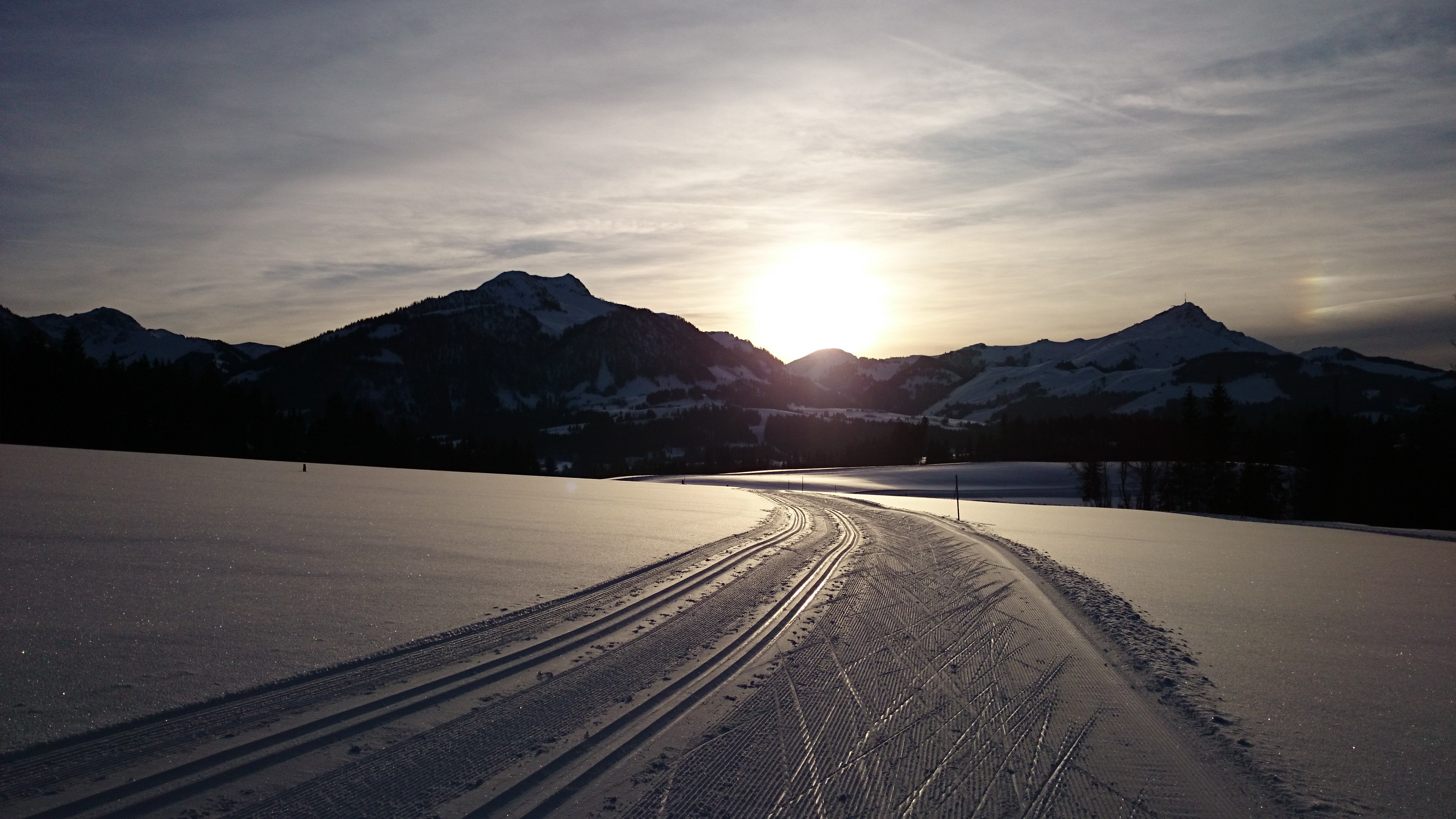 DSC_0773.JPG