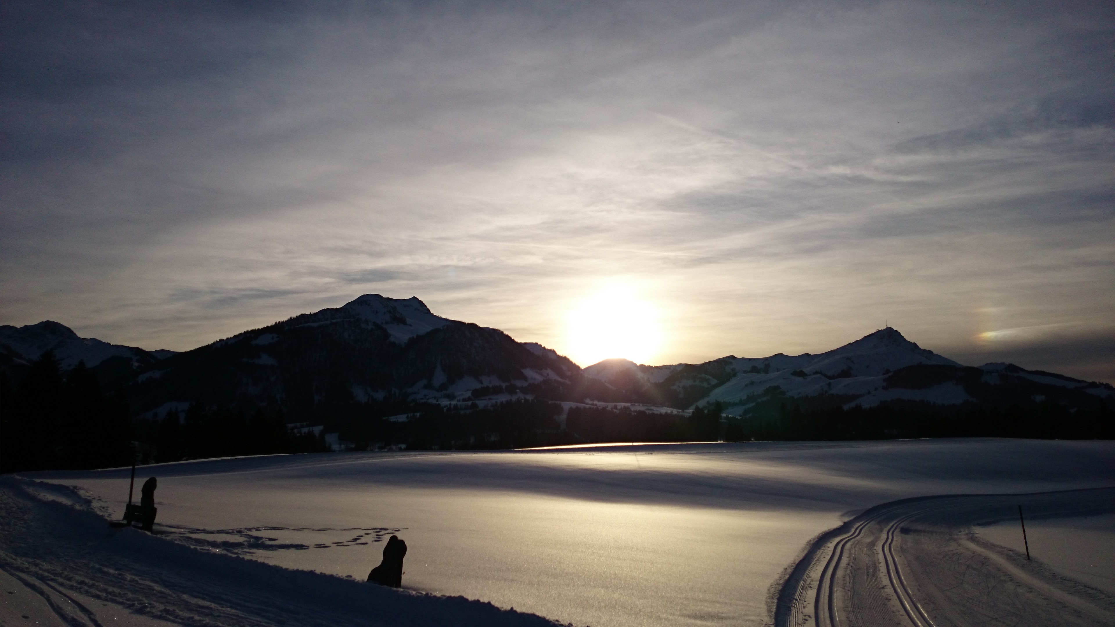 DSC_0775.JPG