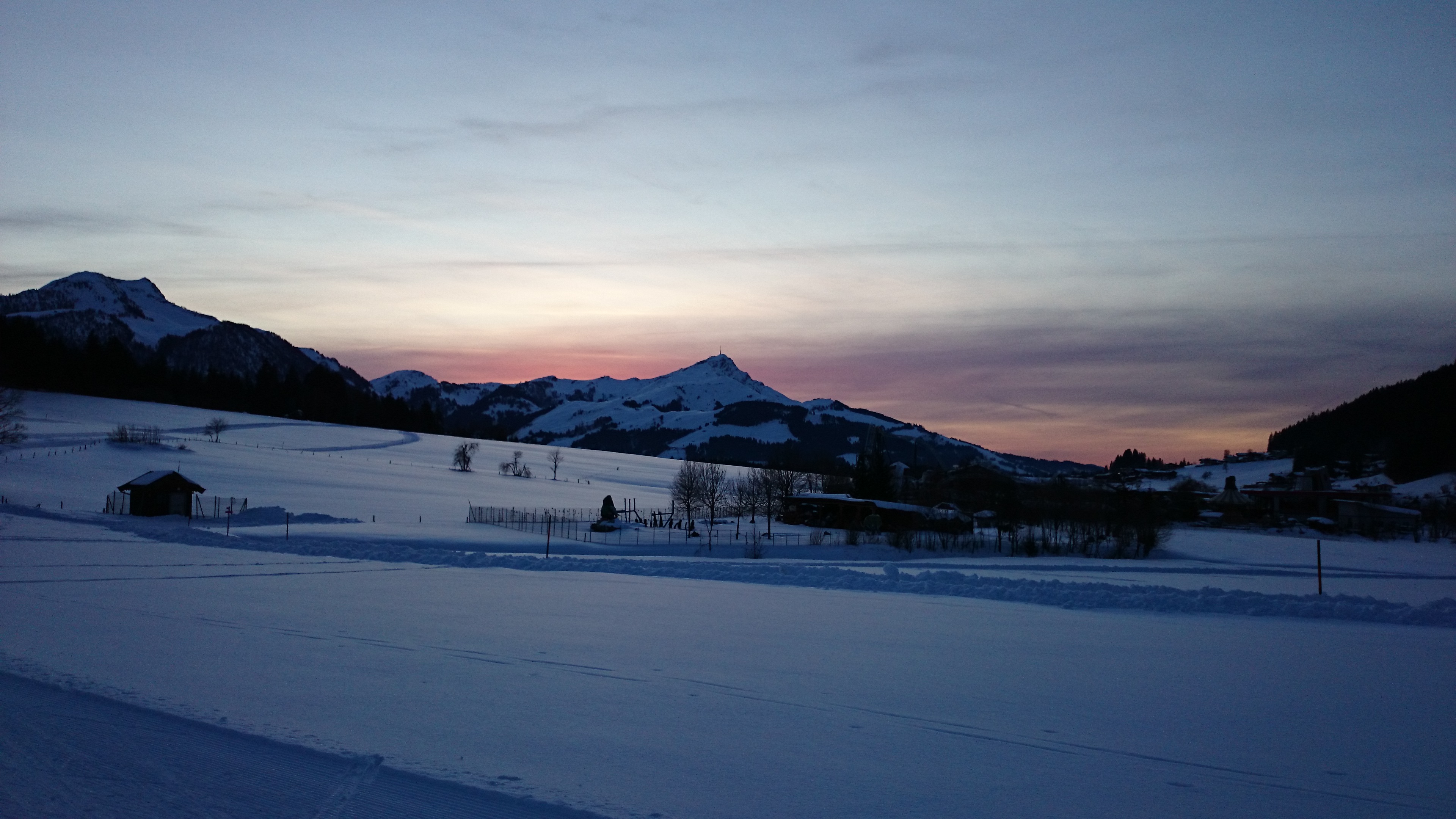 DSC_0779.JPG