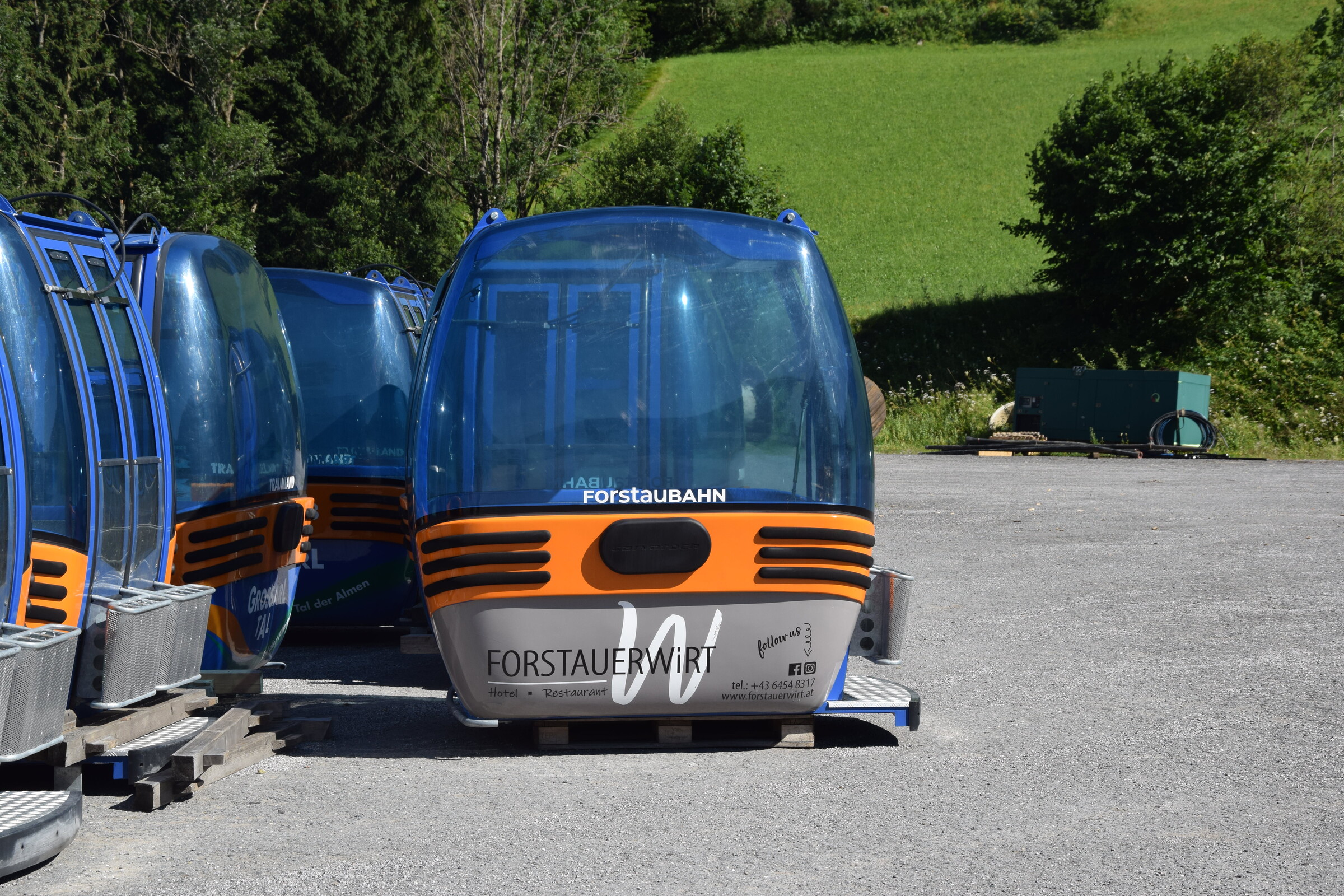 DSC_0826.JPG