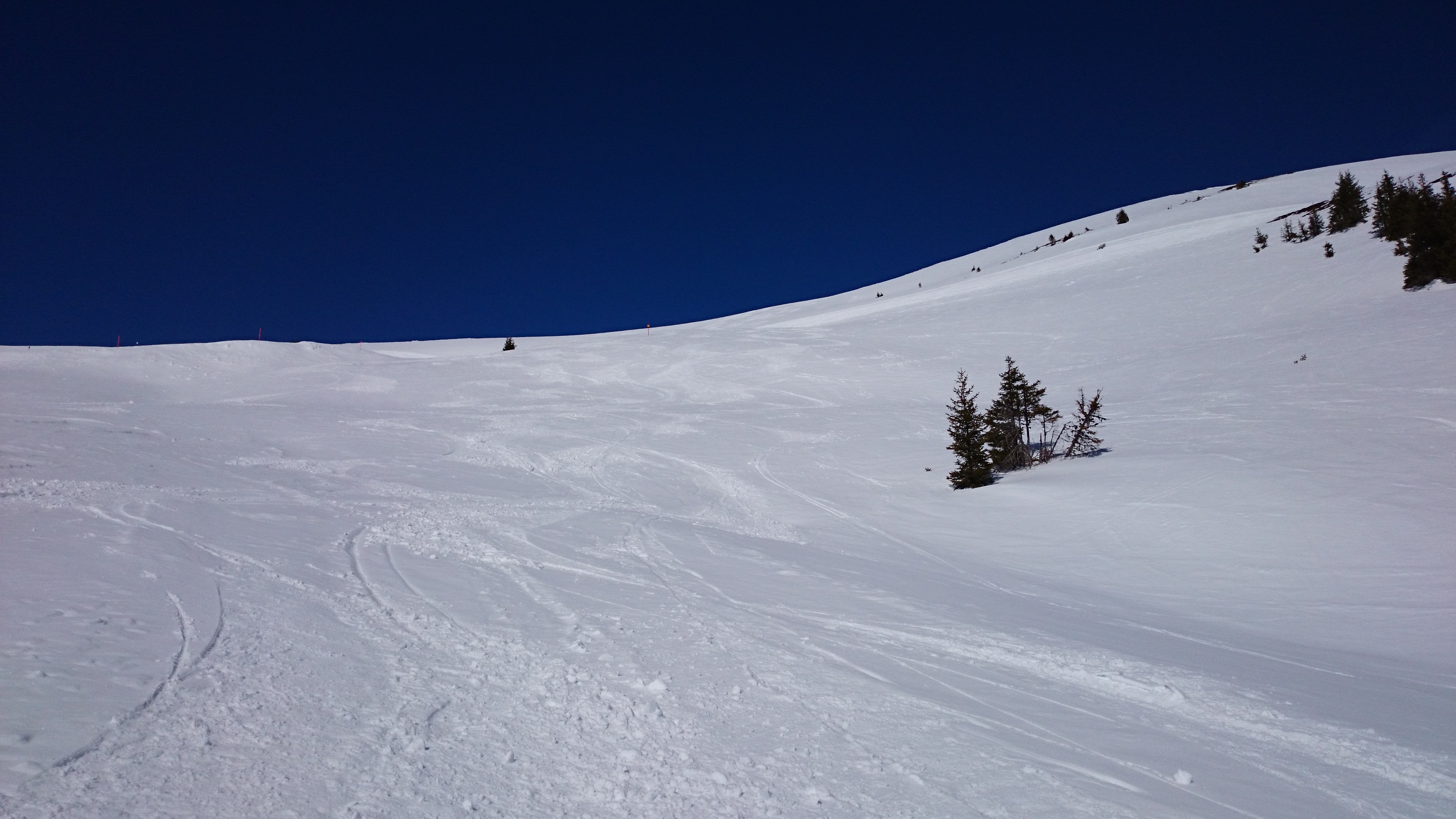 DSC_0872.JPG