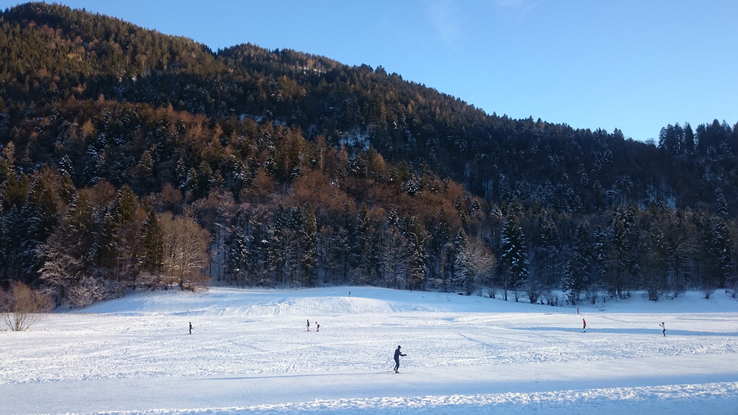 DSC_0931.JPG
