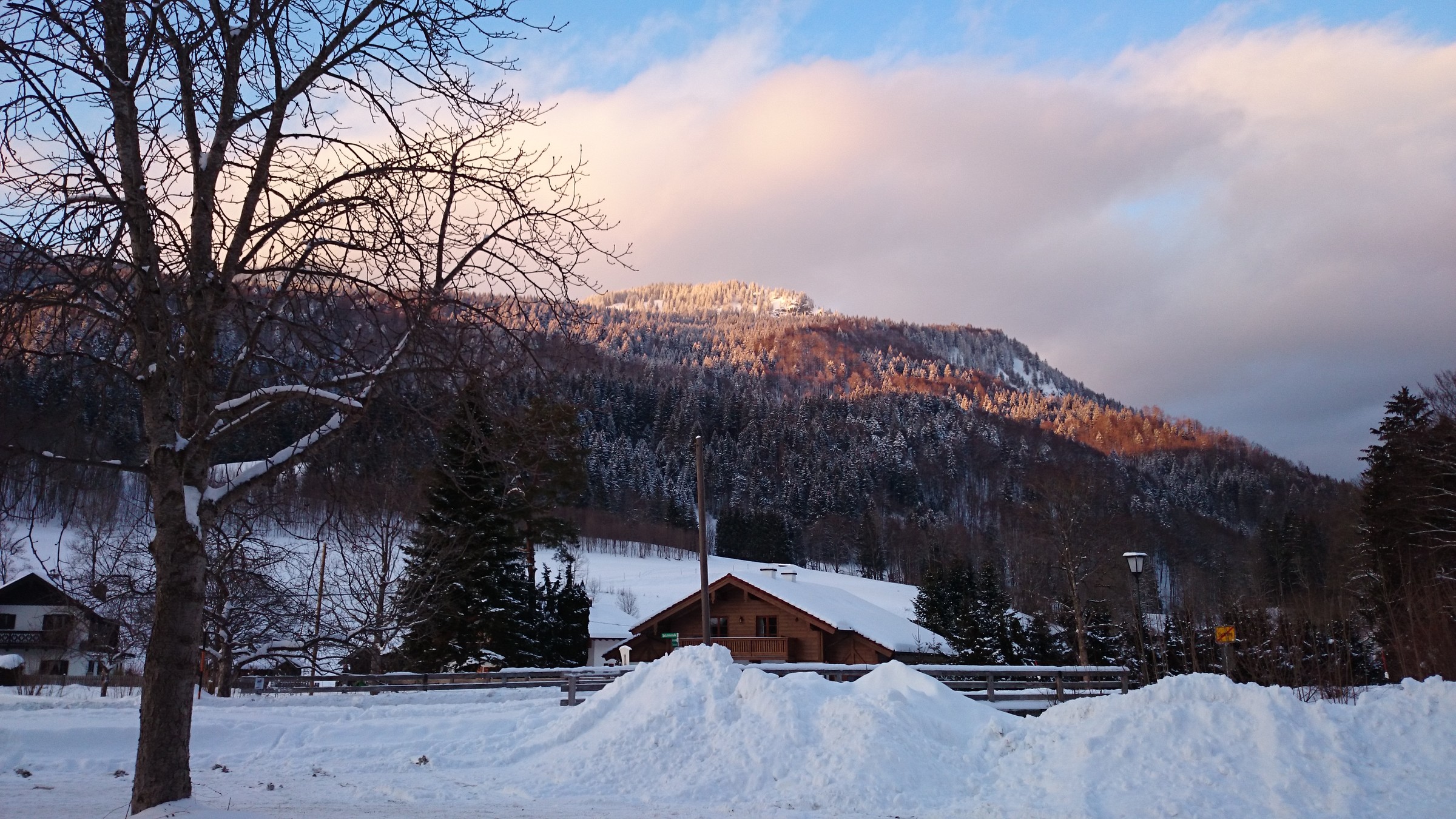 DSC_0946.JPG