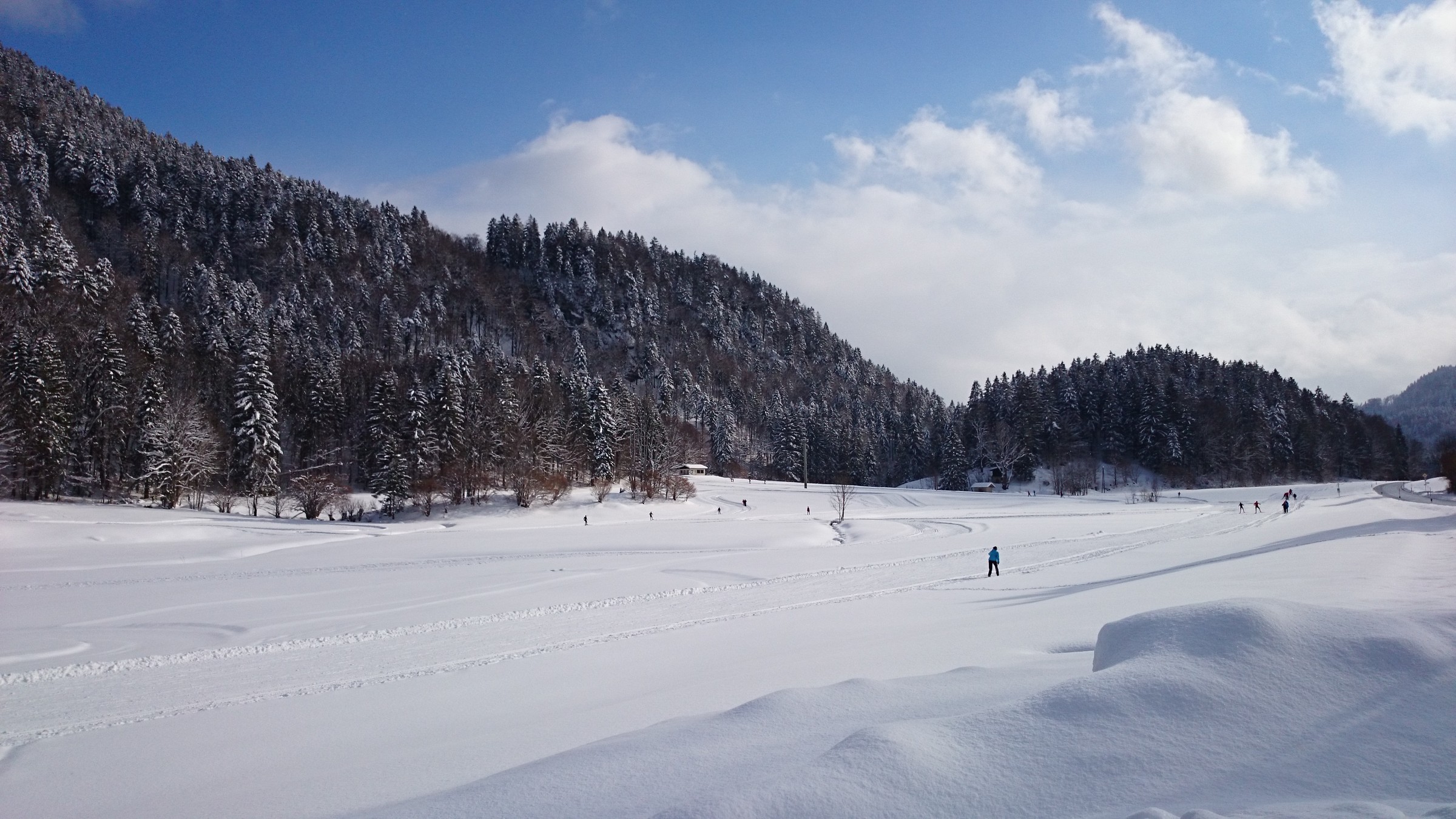 DSC_0962.JPG