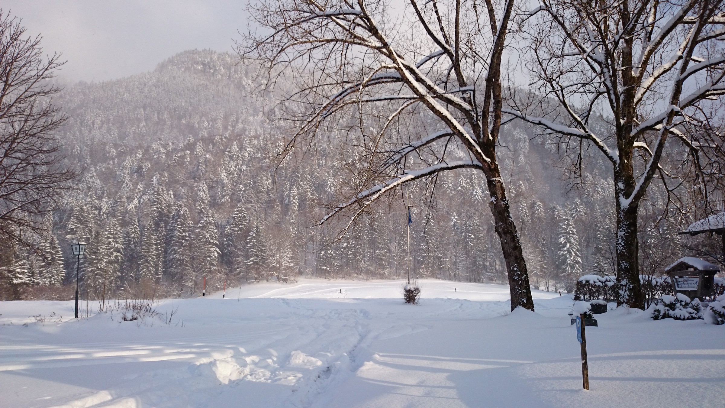 DSC_0968.JPG