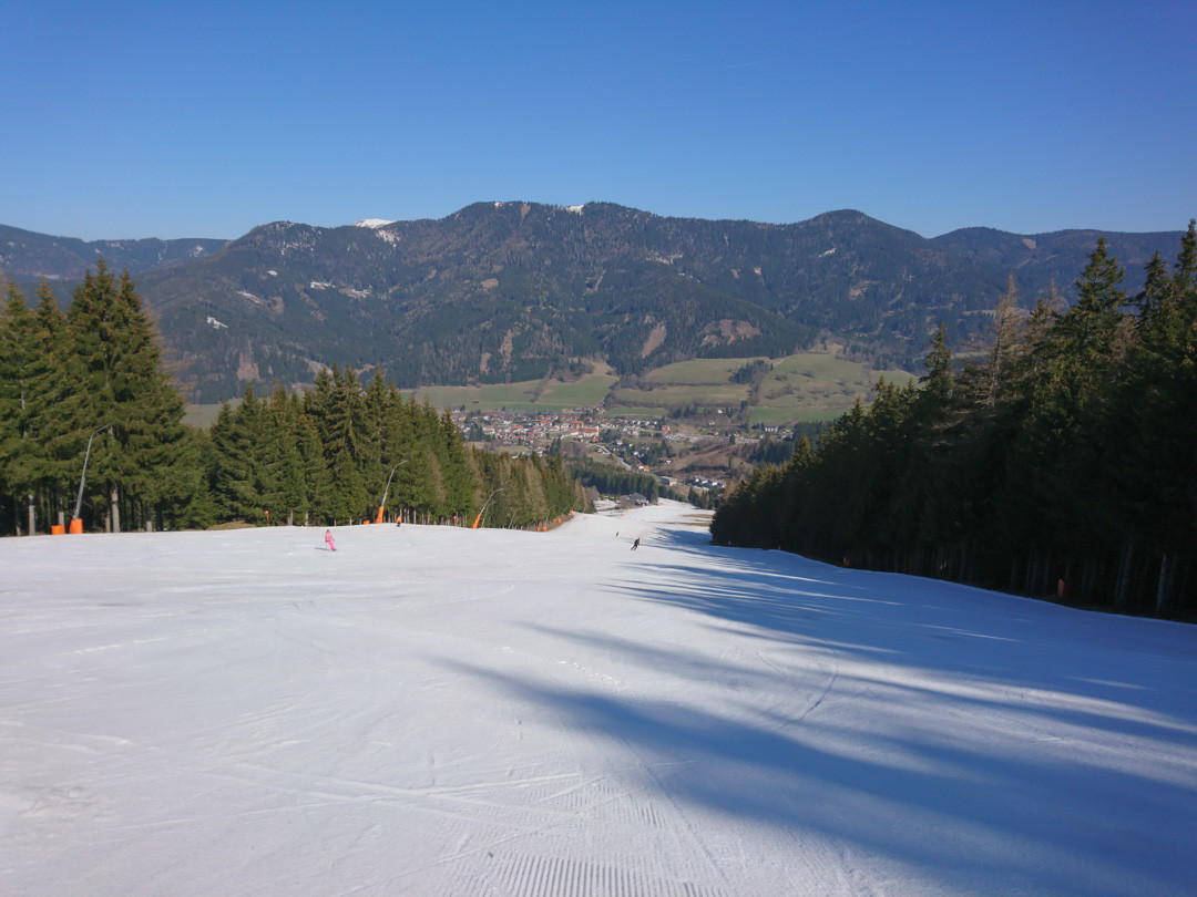 DSC_1284.jpg