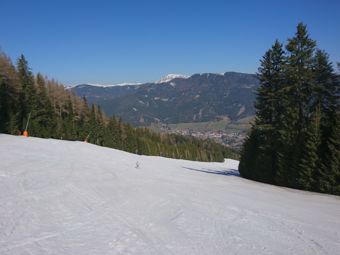 DSC_1288.jpg