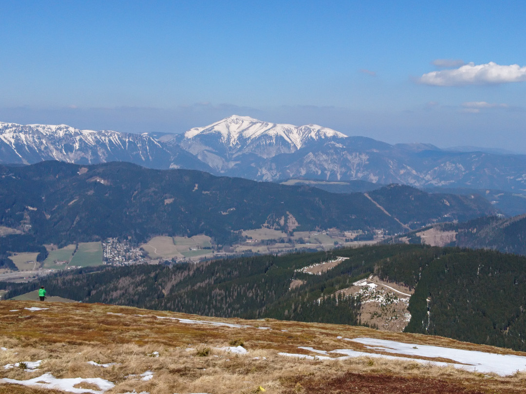DSC_1308.jpg
