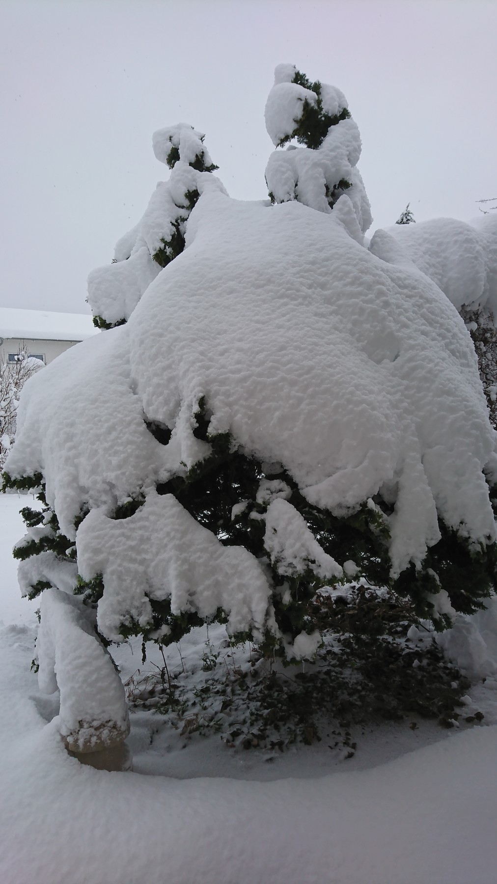 DSC_1460.JPG