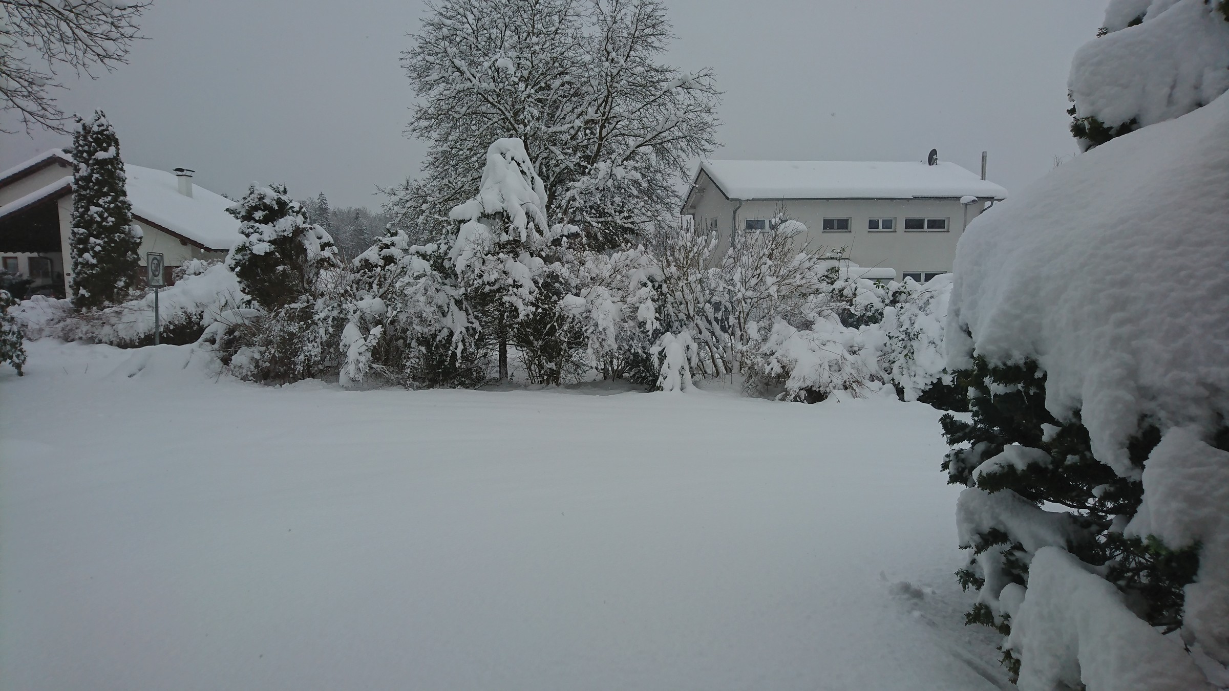 DSC_1461.JPG