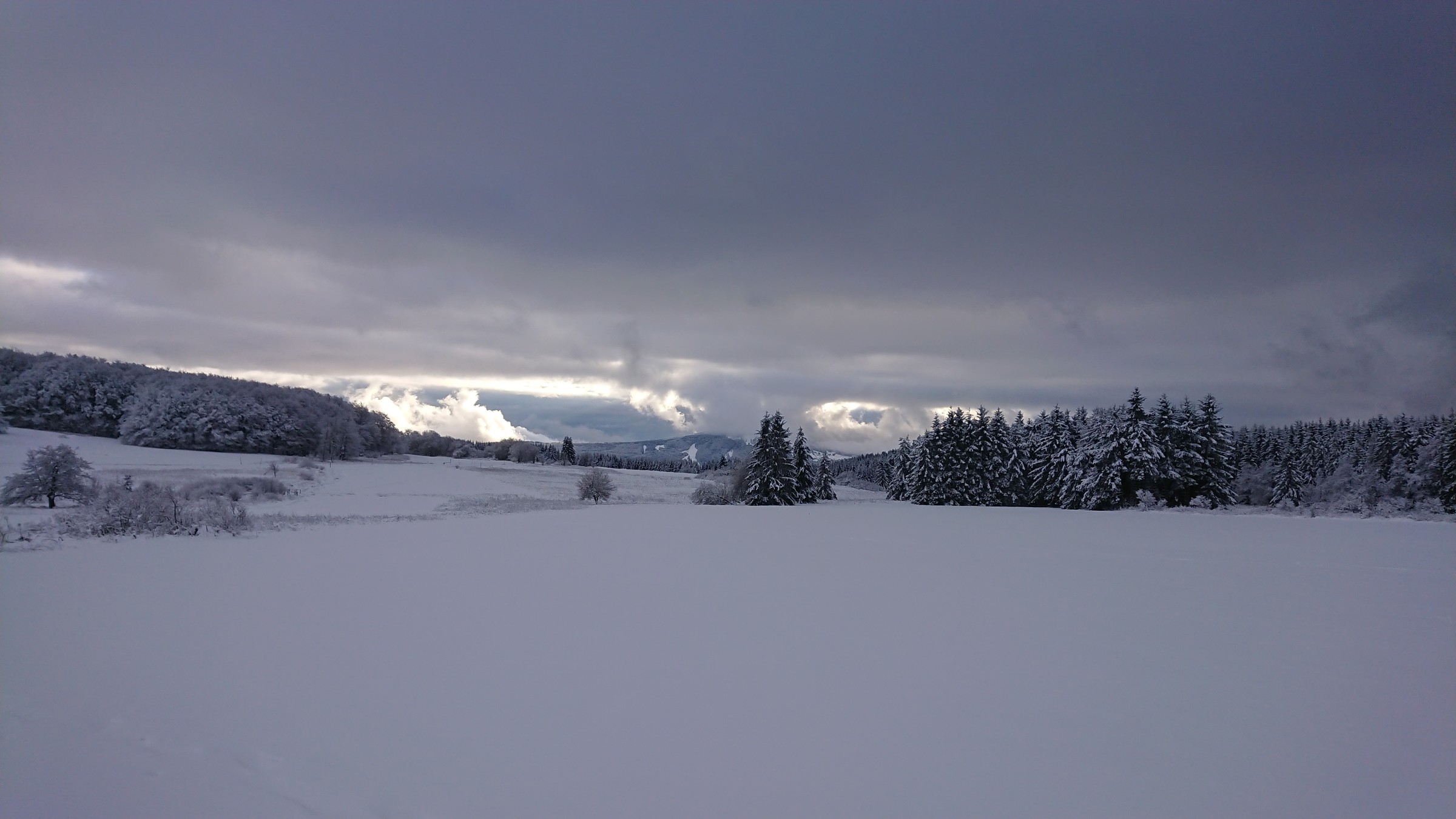 DSC_2412.JPG