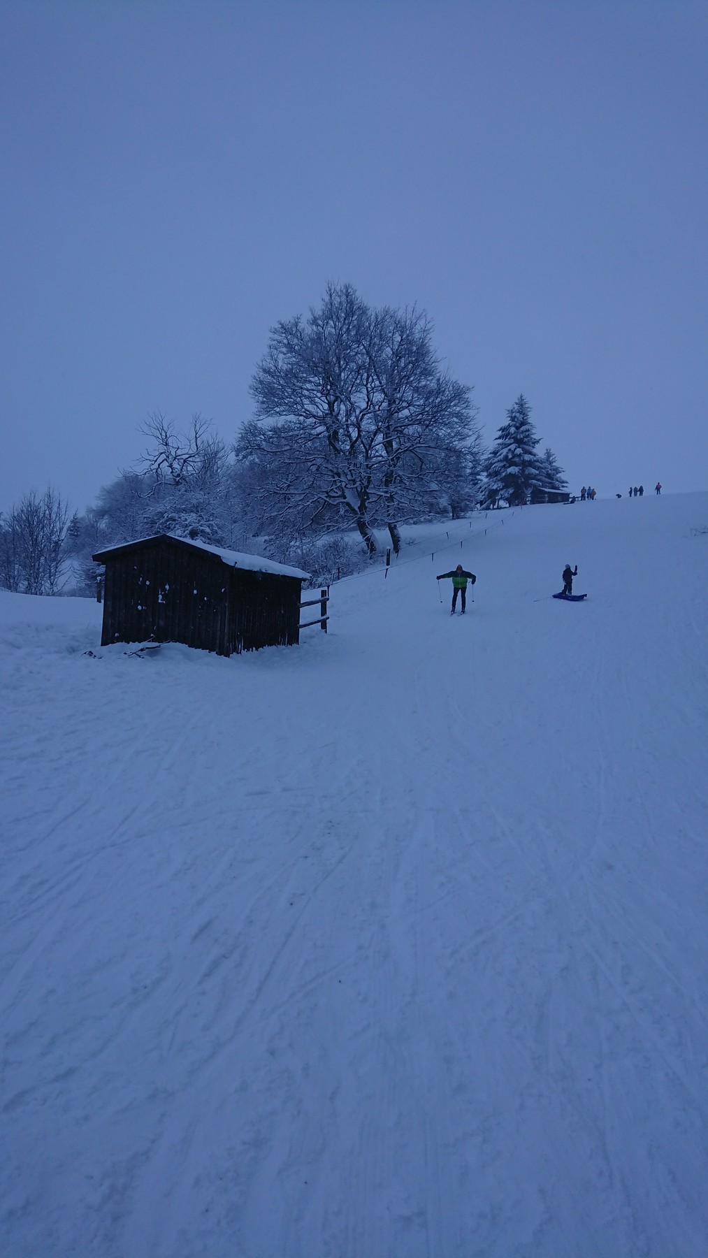 DSC_2419.JPG
