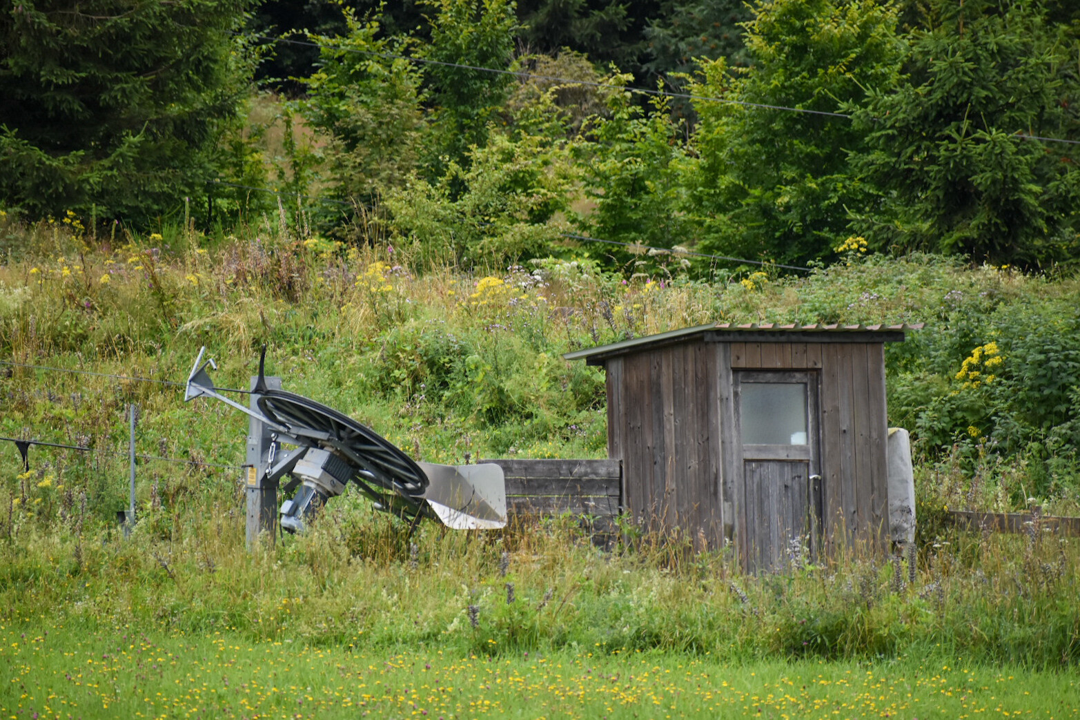 DSC_3214.jpeg