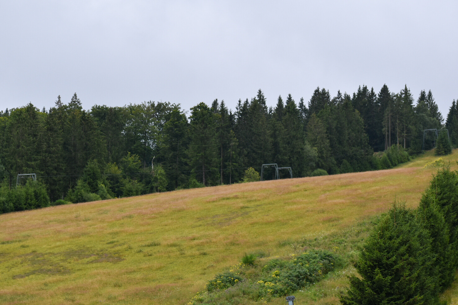 DSC_3221.jpeg