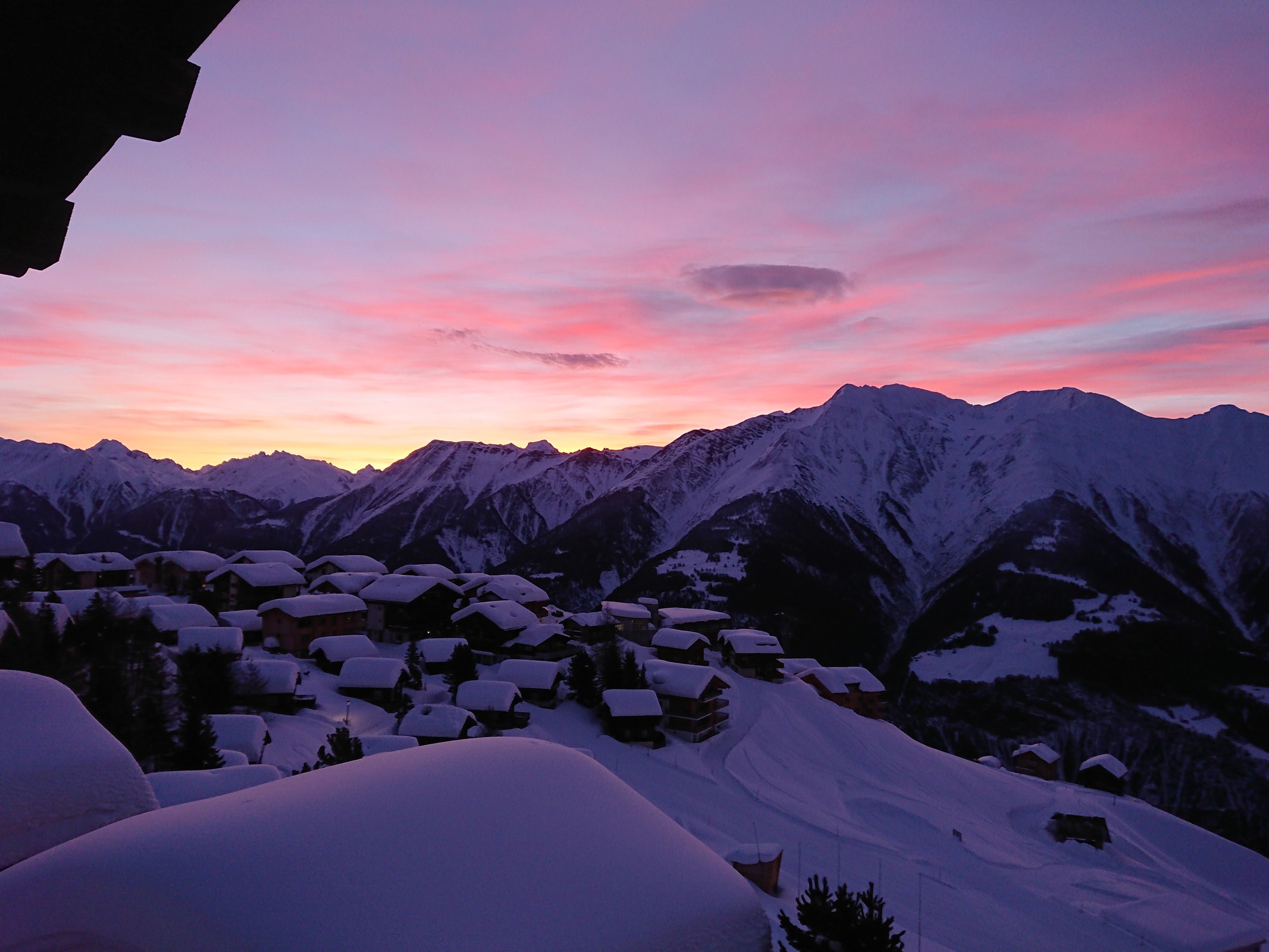 DSC_3650.JPG