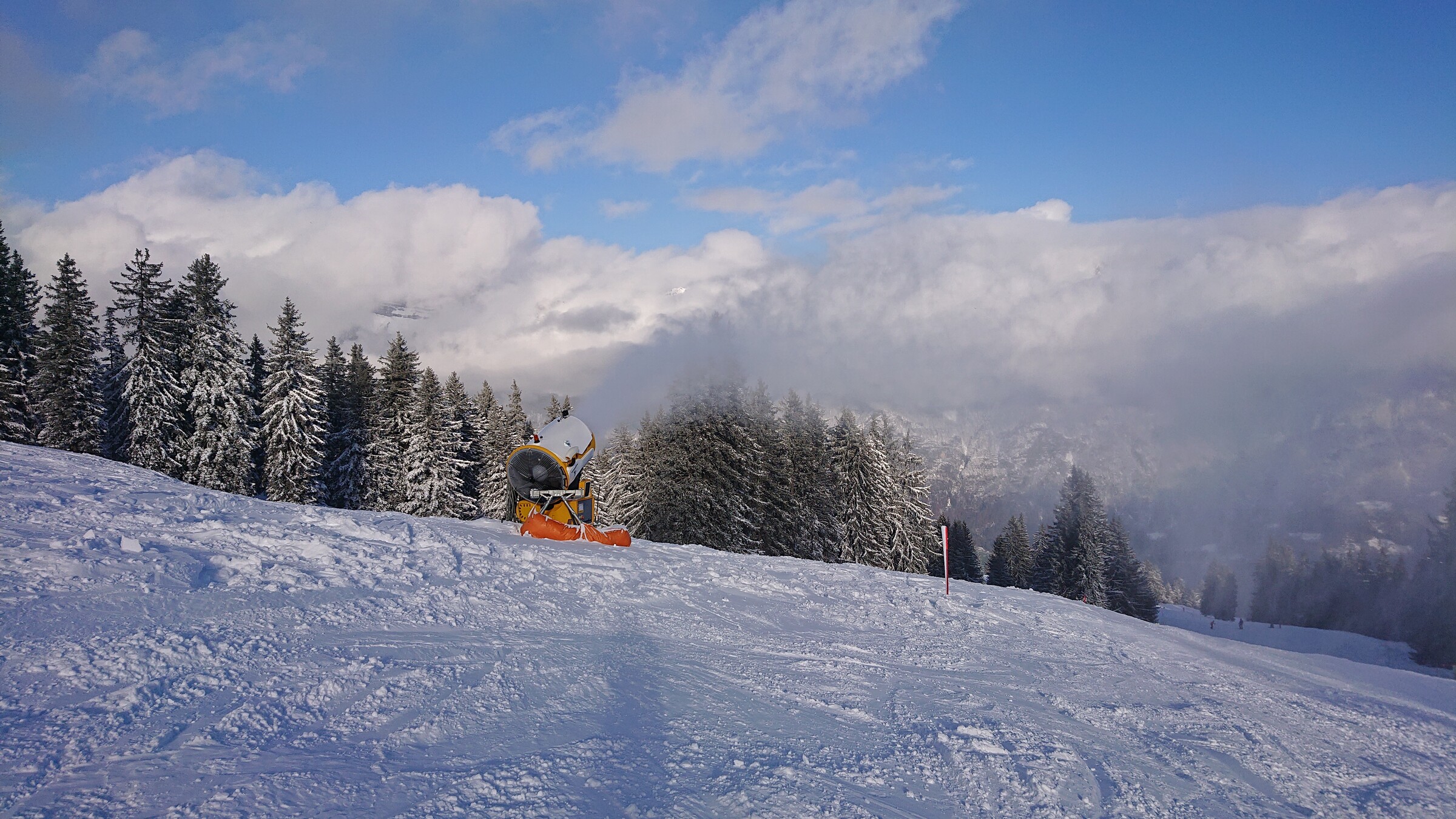 DSC_5807.JPG