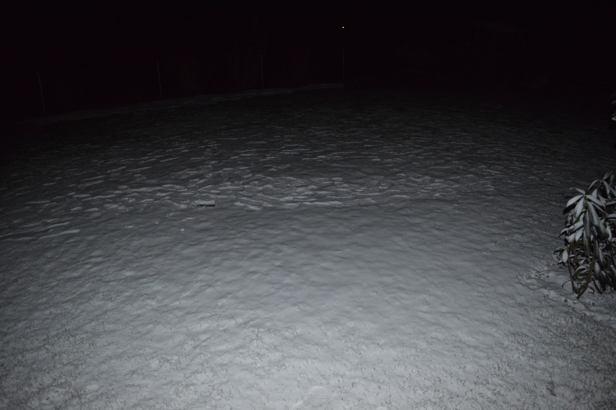 DSC_6976.JPG